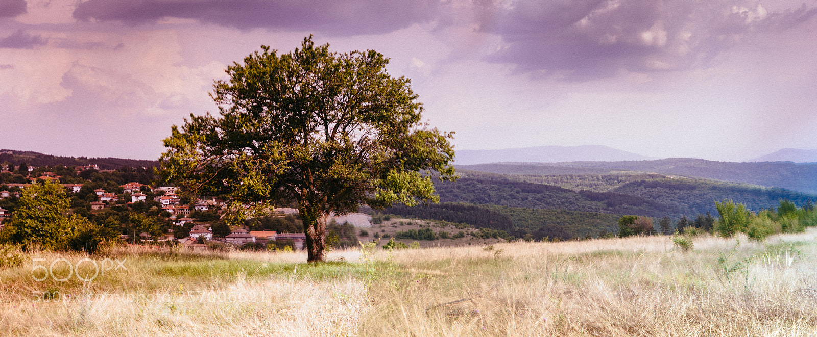 Nikon D5200 sample photo. Anamorphic photography