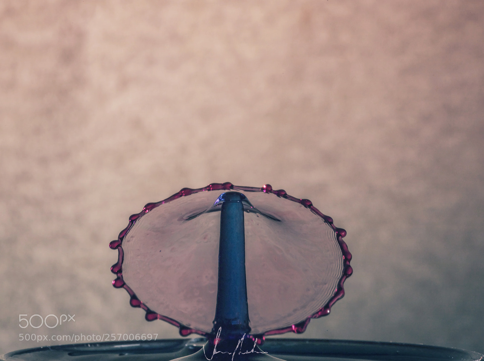 Canon EOS 6D Mark II sample photo. Collision course photography