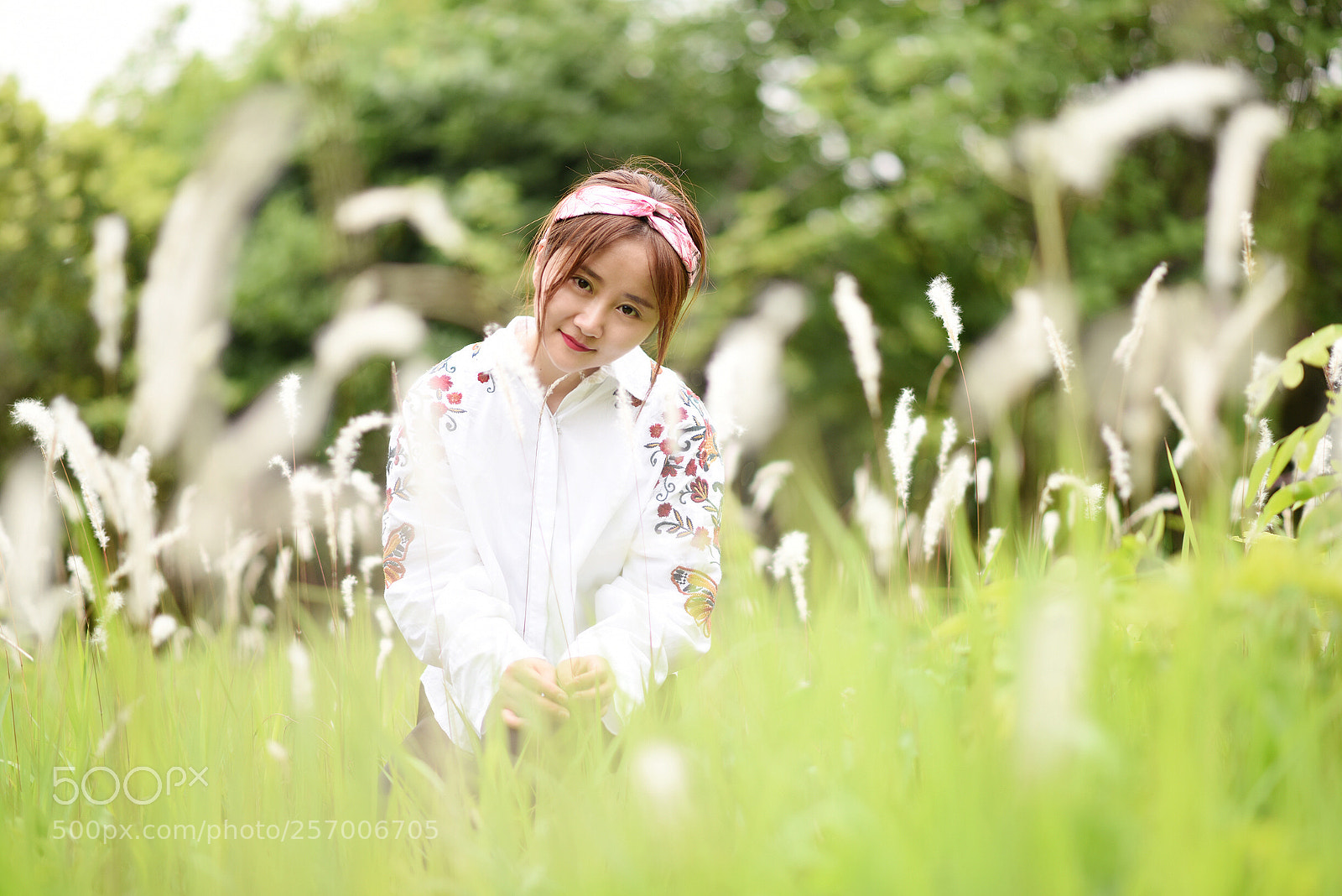 Nikon D810 sample photo. Untitled photography