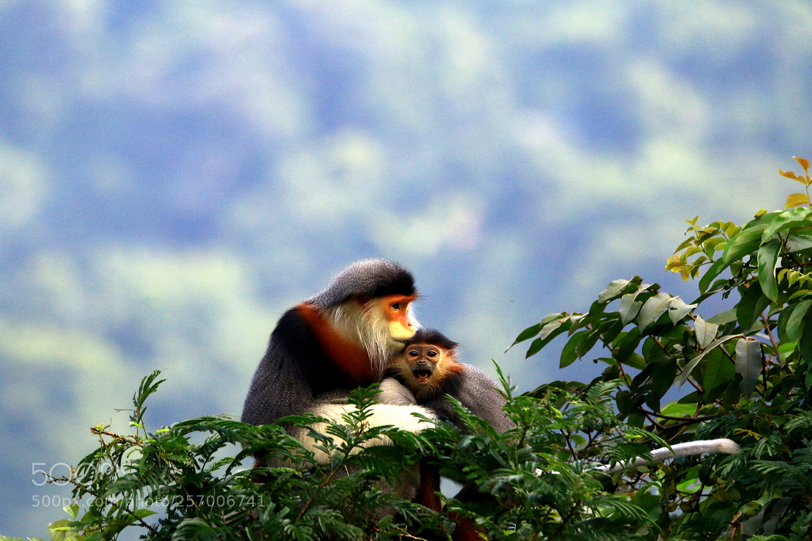 Canon EOS 70D sample photo. Img photography