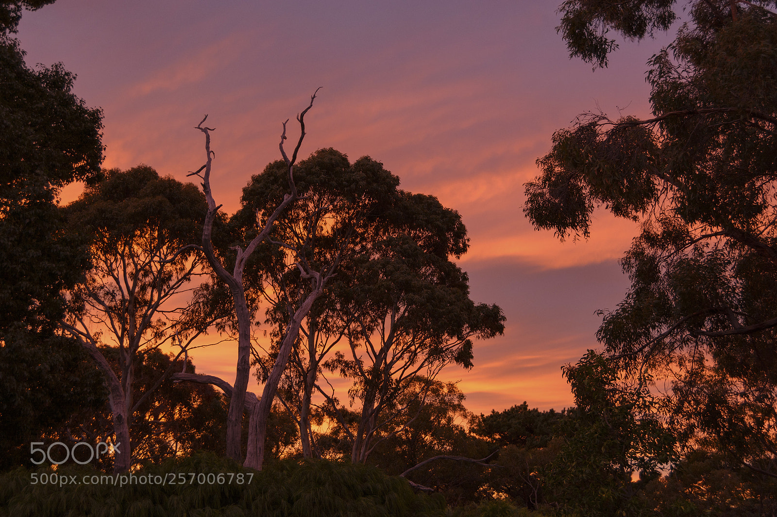 Nikon D7100 sample photo. Beautiful colours at sunrise photography