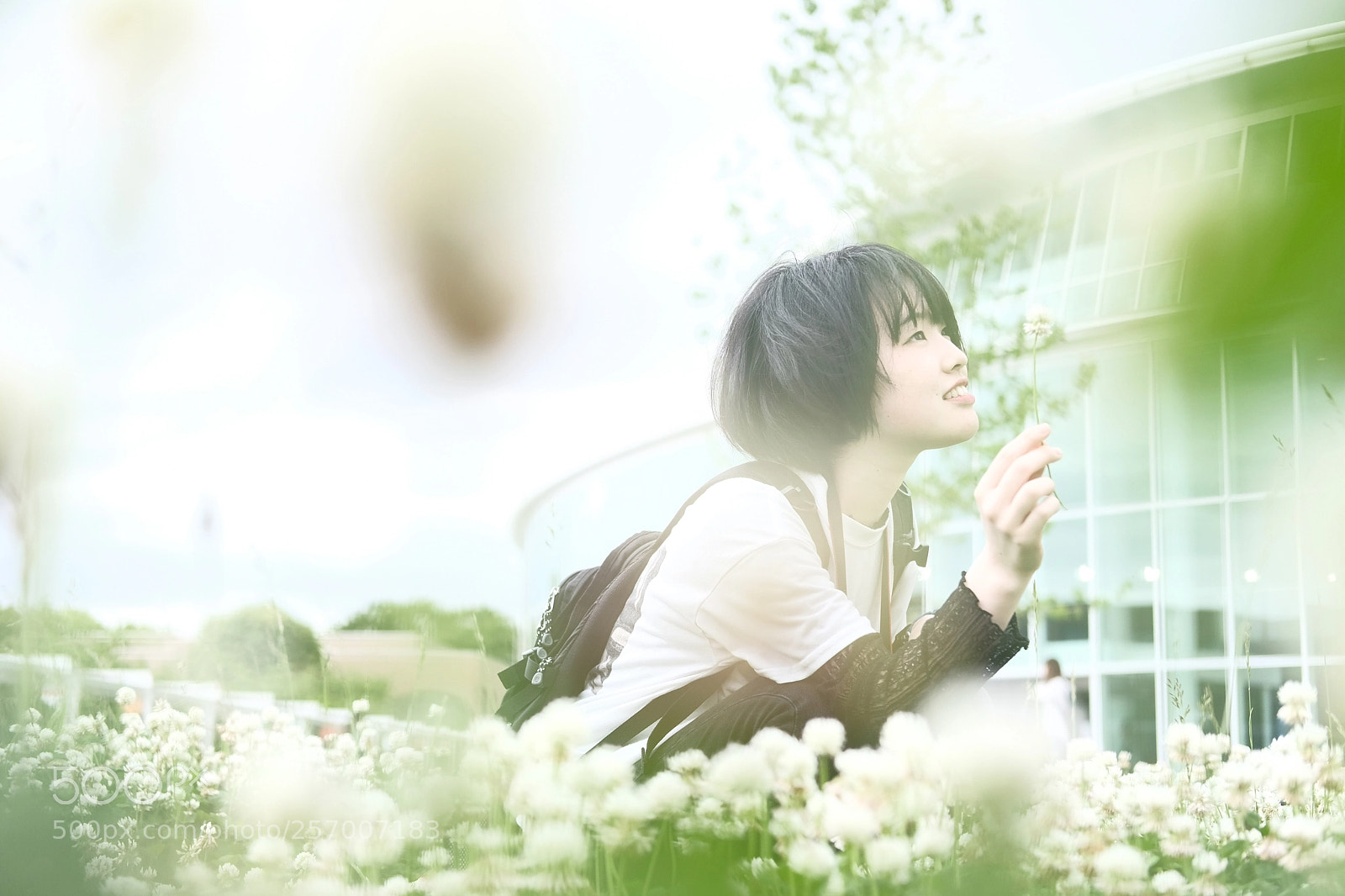 Fujifilm X-H1 sample photo. Blossom photography