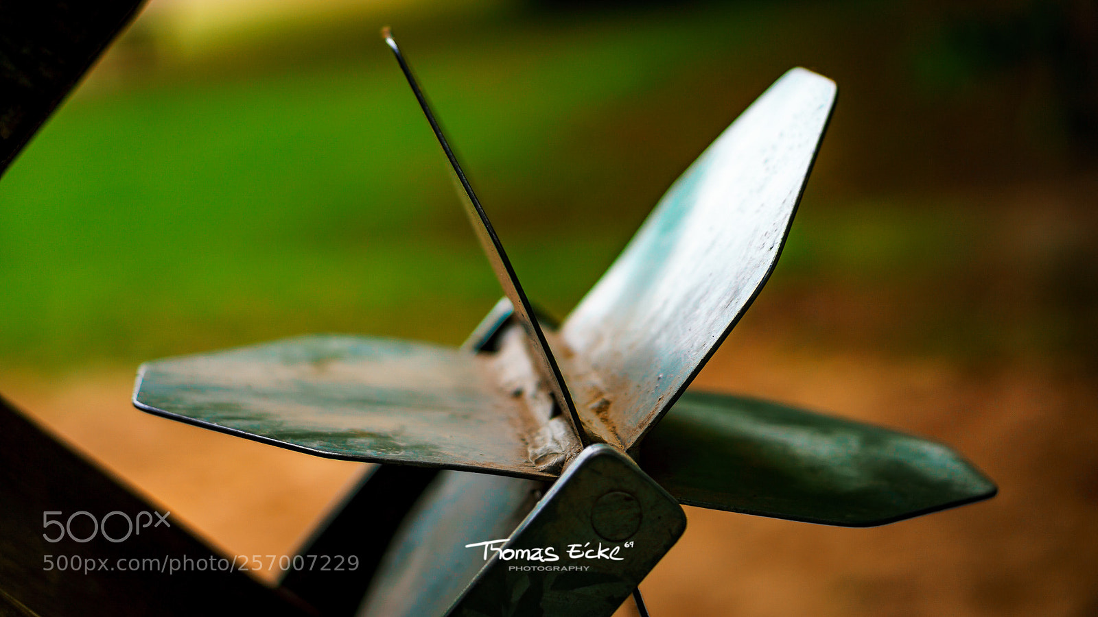 Sony a6000 sample photo. Dsc photography