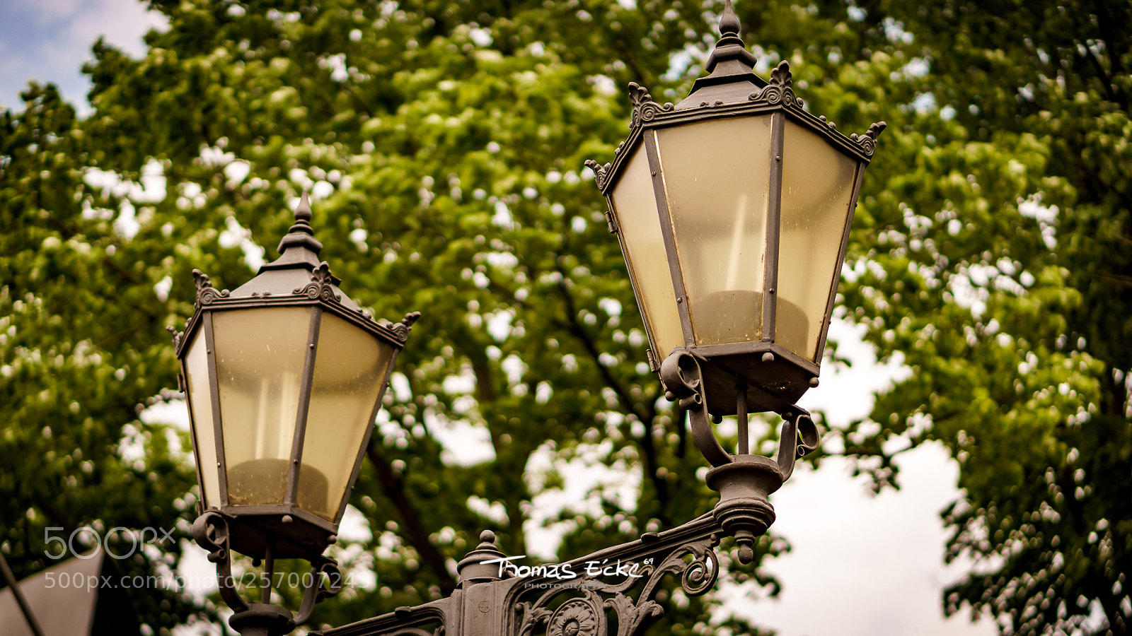 Sony a6000 sample photo. Dsc photography