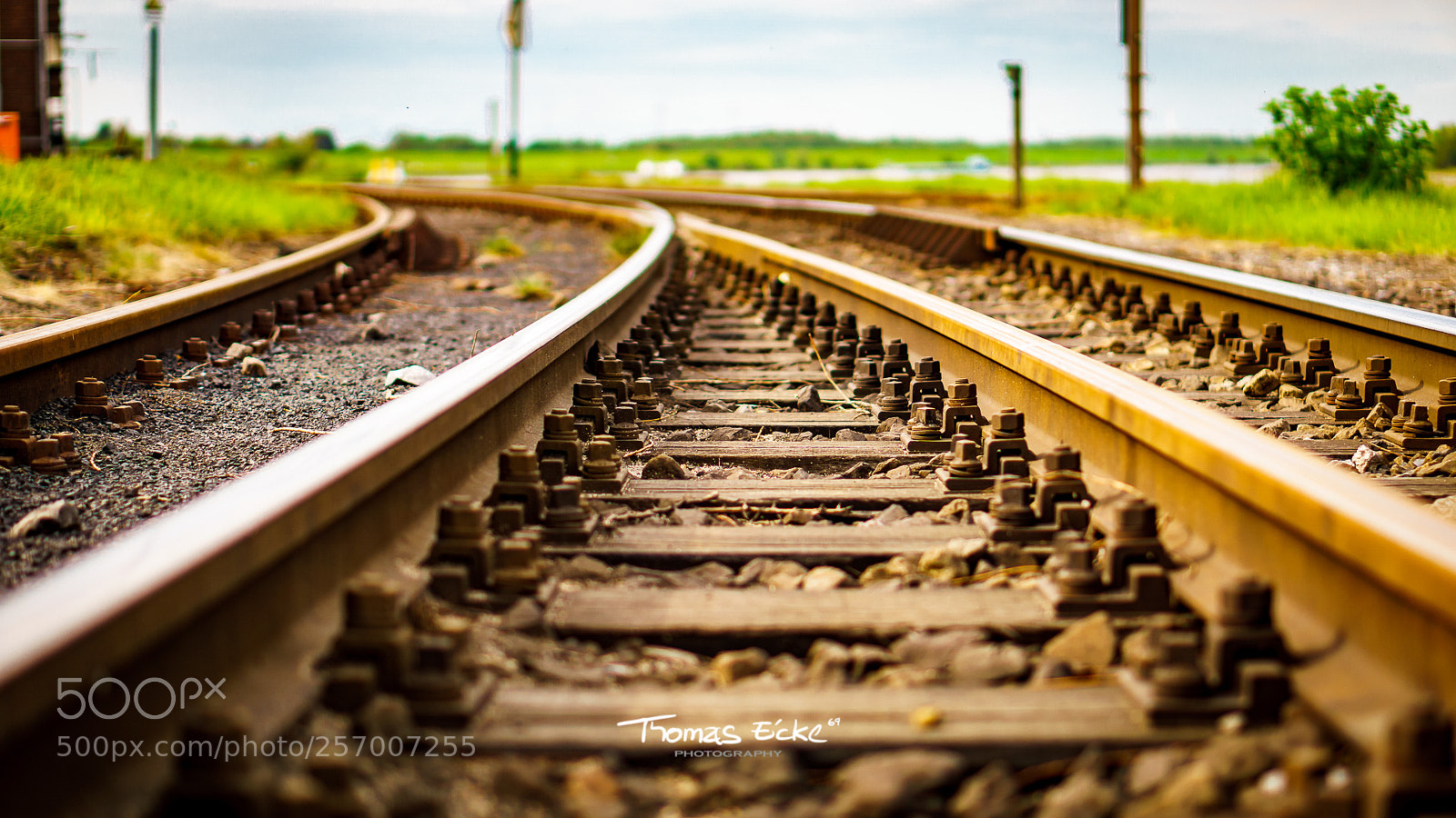 Sony a6000 sample photo. Dsc photography