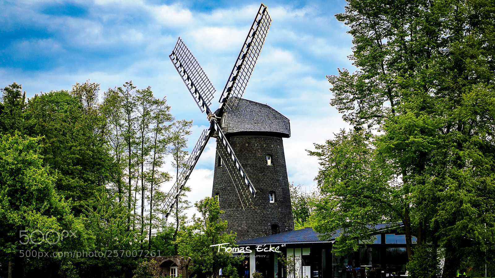 Sony a6000 sample photo. Dsc photography