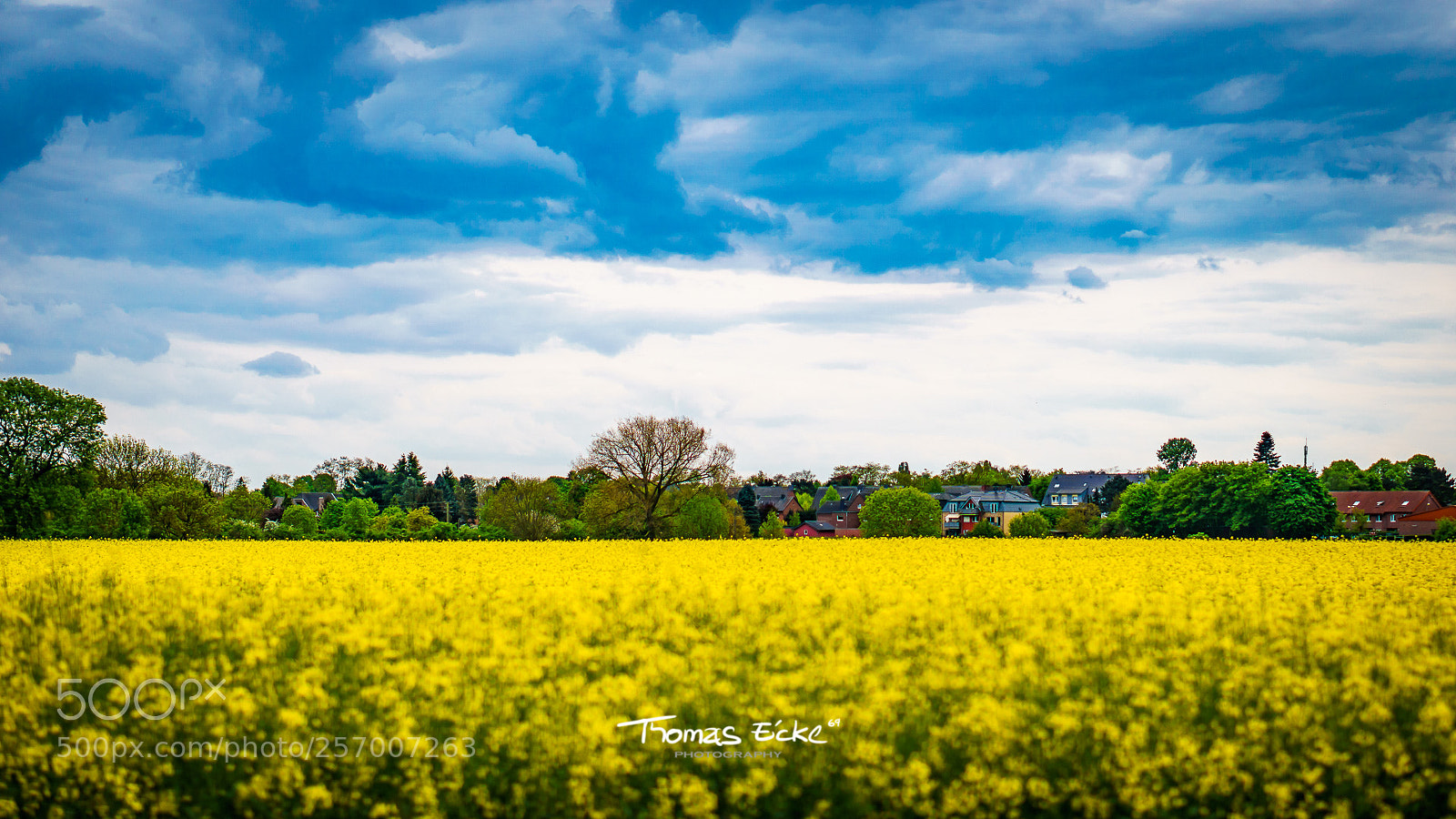 Sony a6000 sample photo. Dsc photography