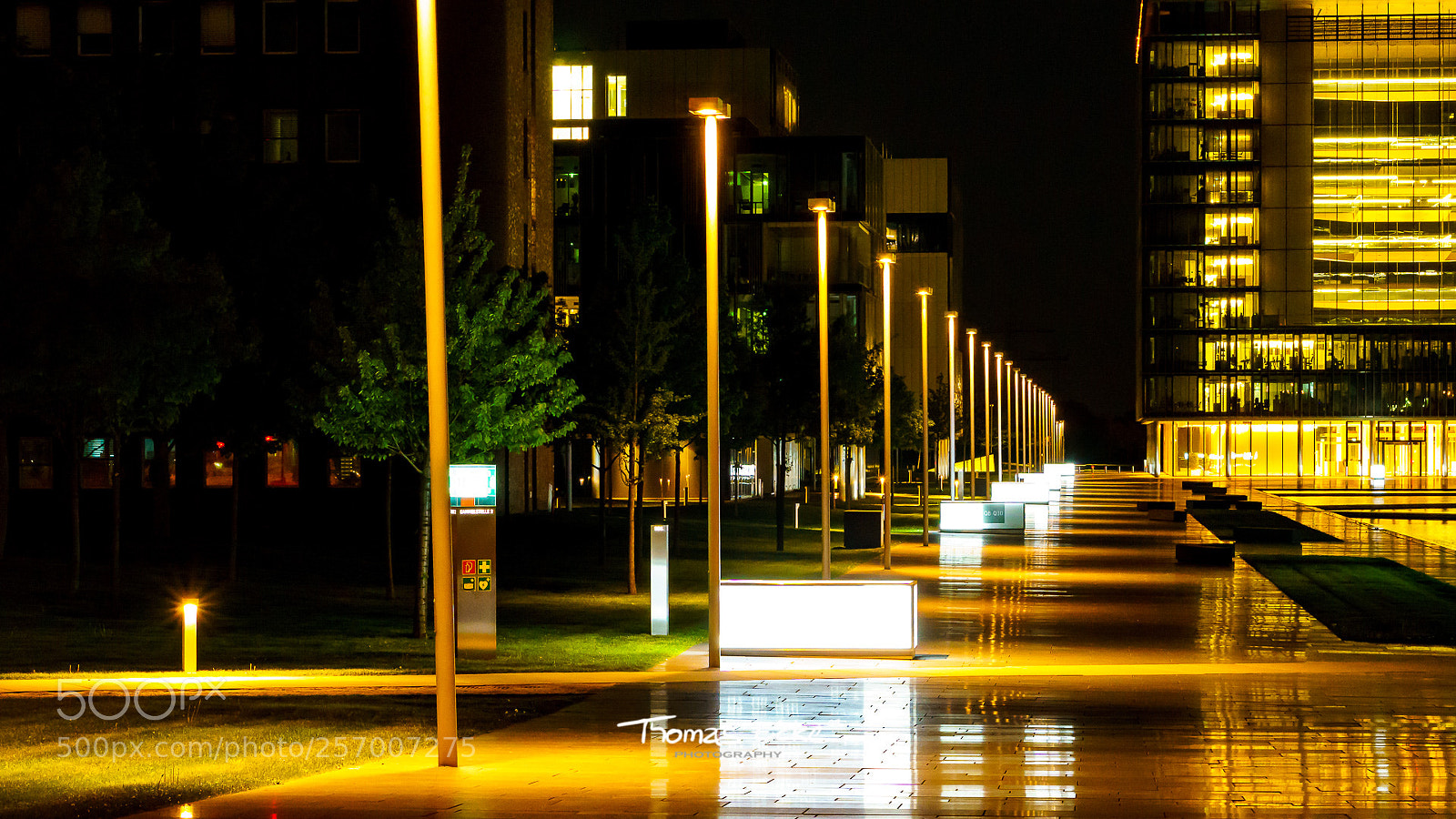 Sony a6000 sample photo. Dsc photography
