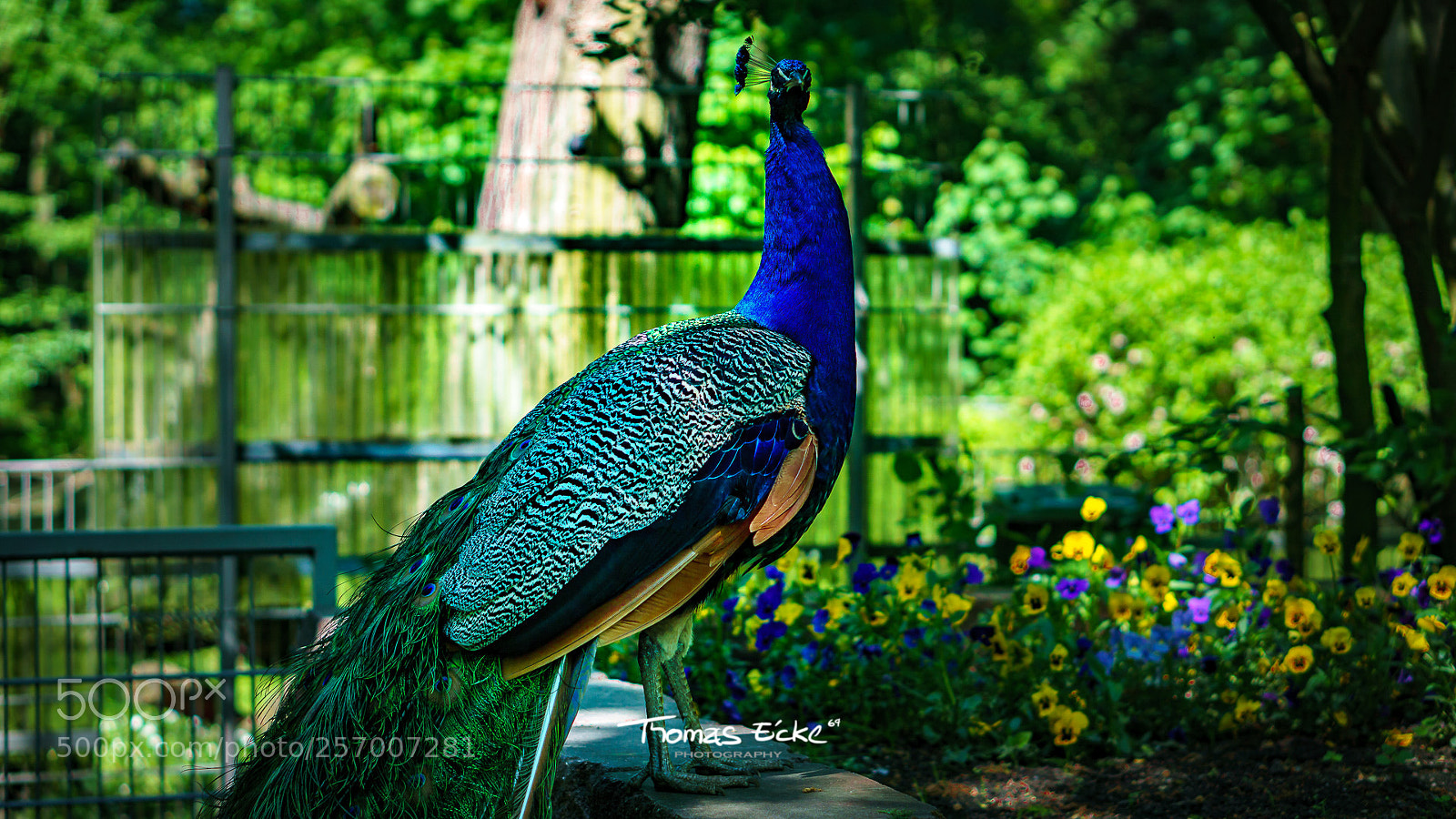 Sony a6000 sample photo. Dsc photography