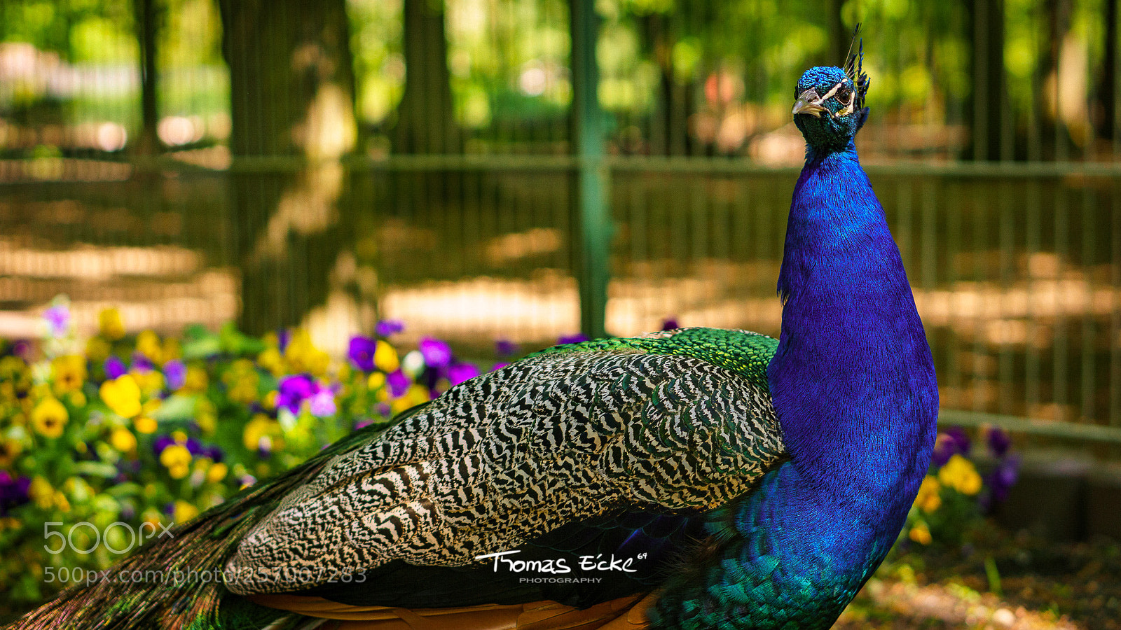 Sony a6000 sample photo. Dsc photography