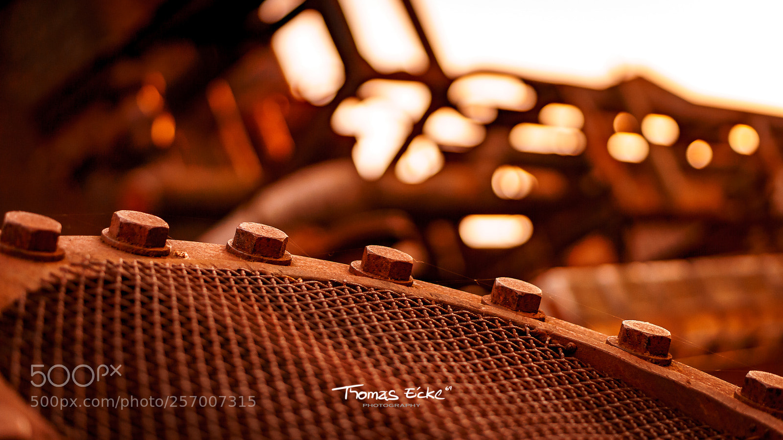 Sony a6000 sample photo. Dsc photography