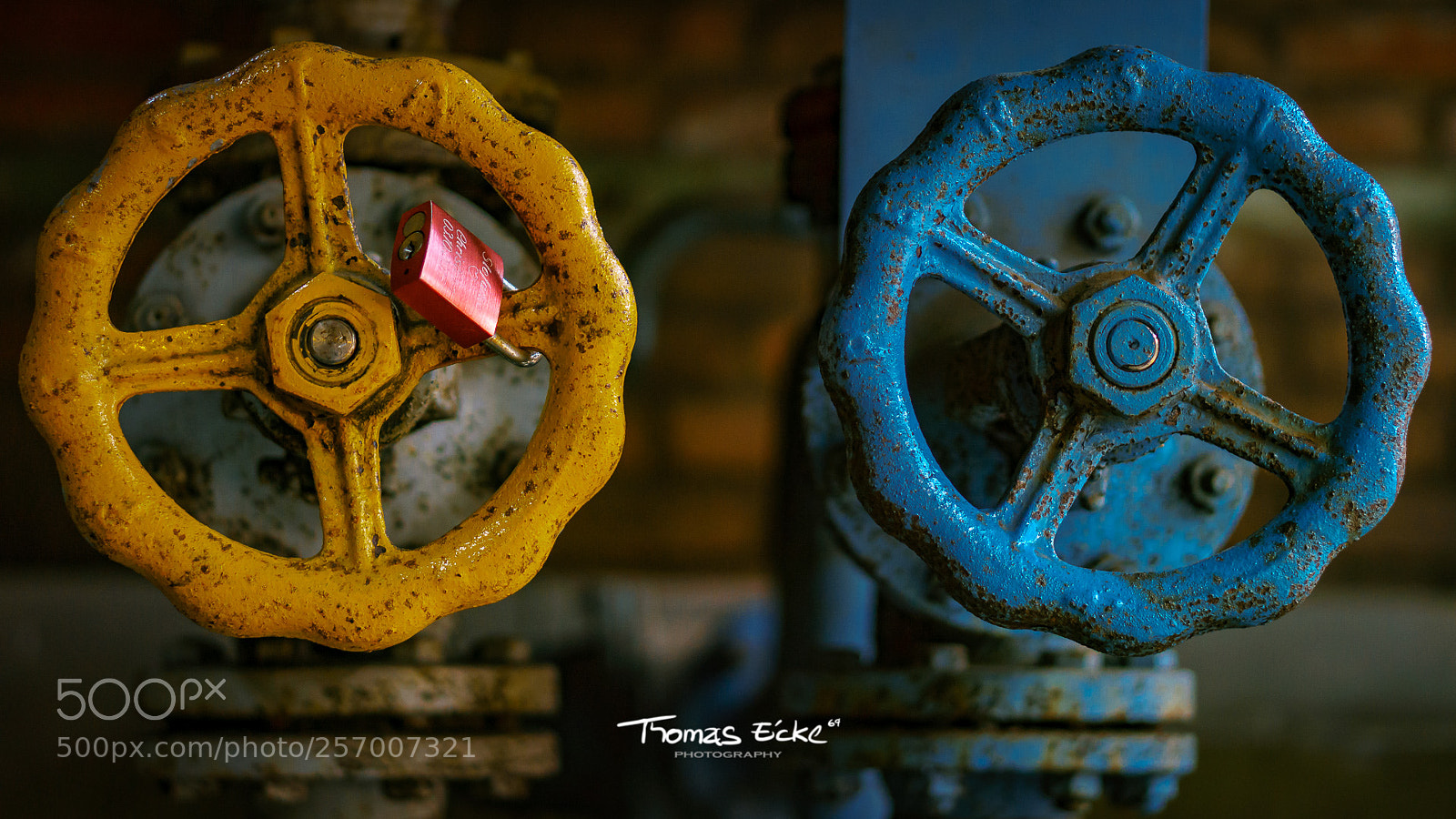 Sony a6000 sample photo. Dsc photography