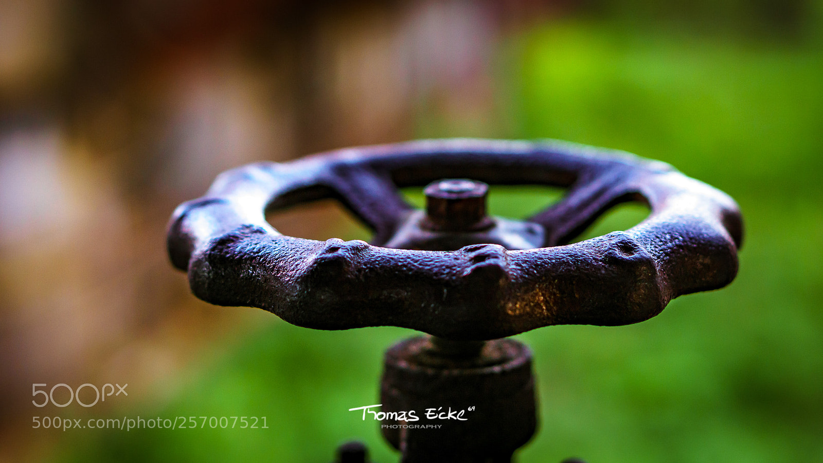 Sony a6000 sample photo. Dsc photography