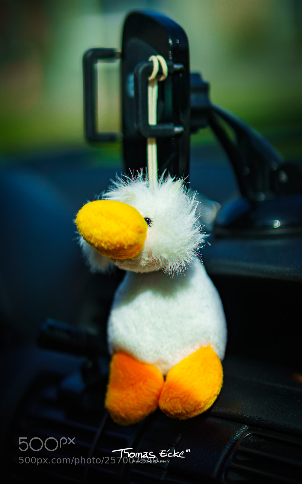 Sony a6000 sample photo. Dsc photography