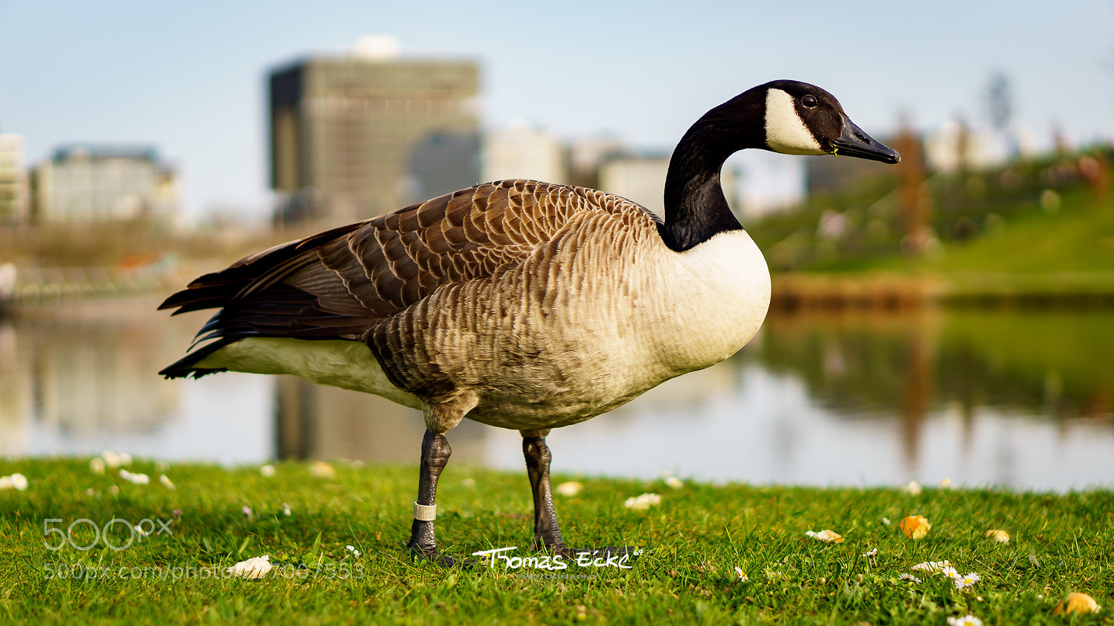 Sony a6000 sample photo. Dsc photography