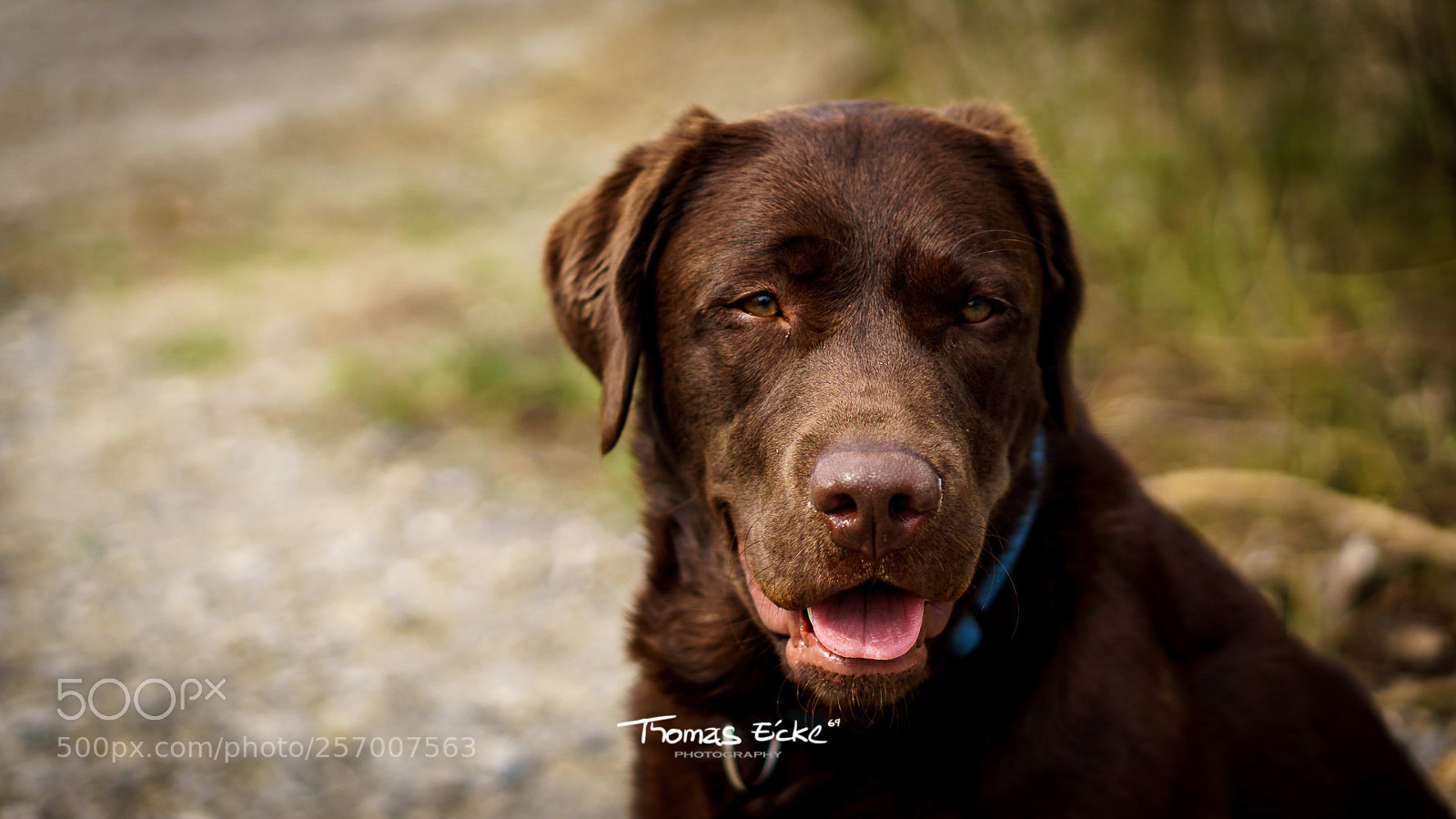 Sony a6000 sample photo. Dsc photography