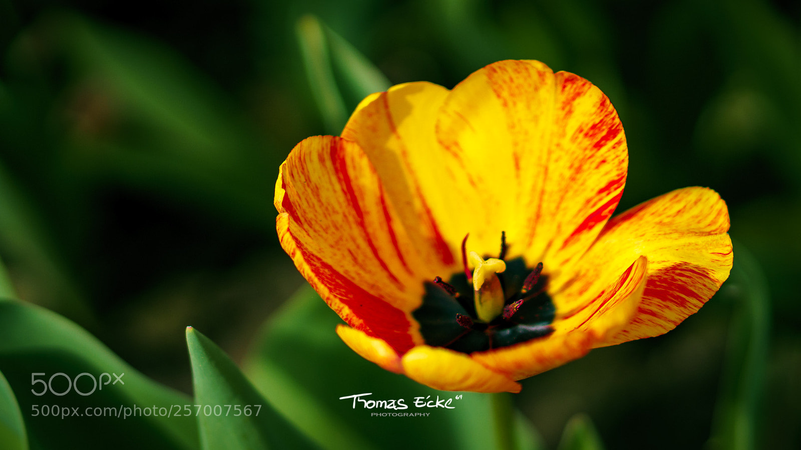 Sony a6000 sample photo. Dsc photography