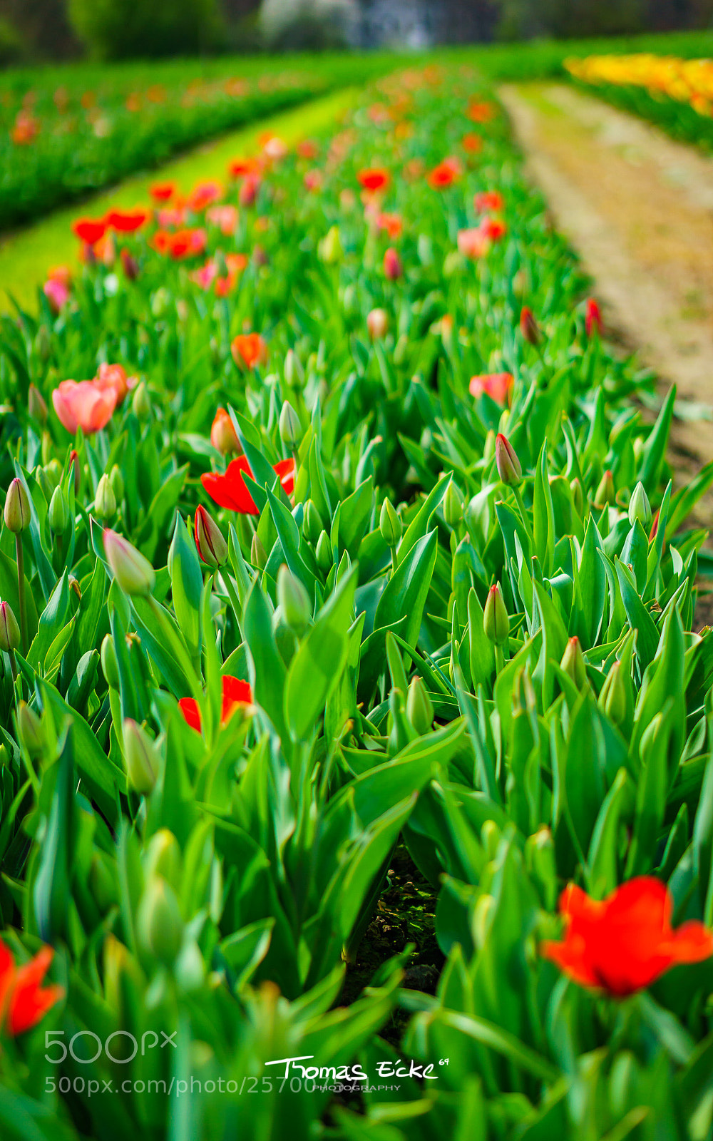 Sony a6000 sample photo. Dsc photography