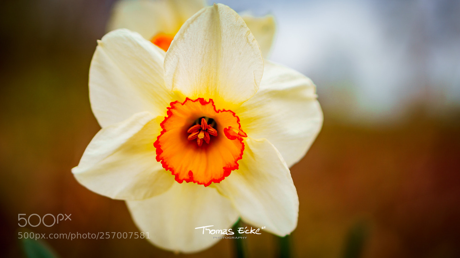 Sony a6000 sample photo. Dsc photography