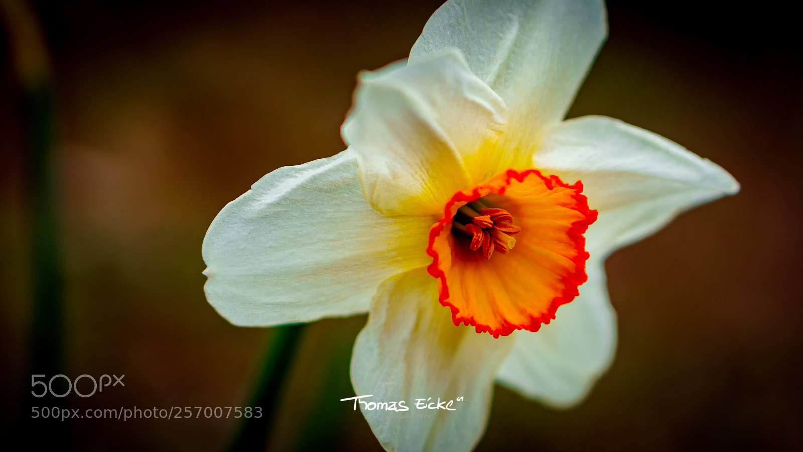 Sony a6000 sample photo. Dsc photography