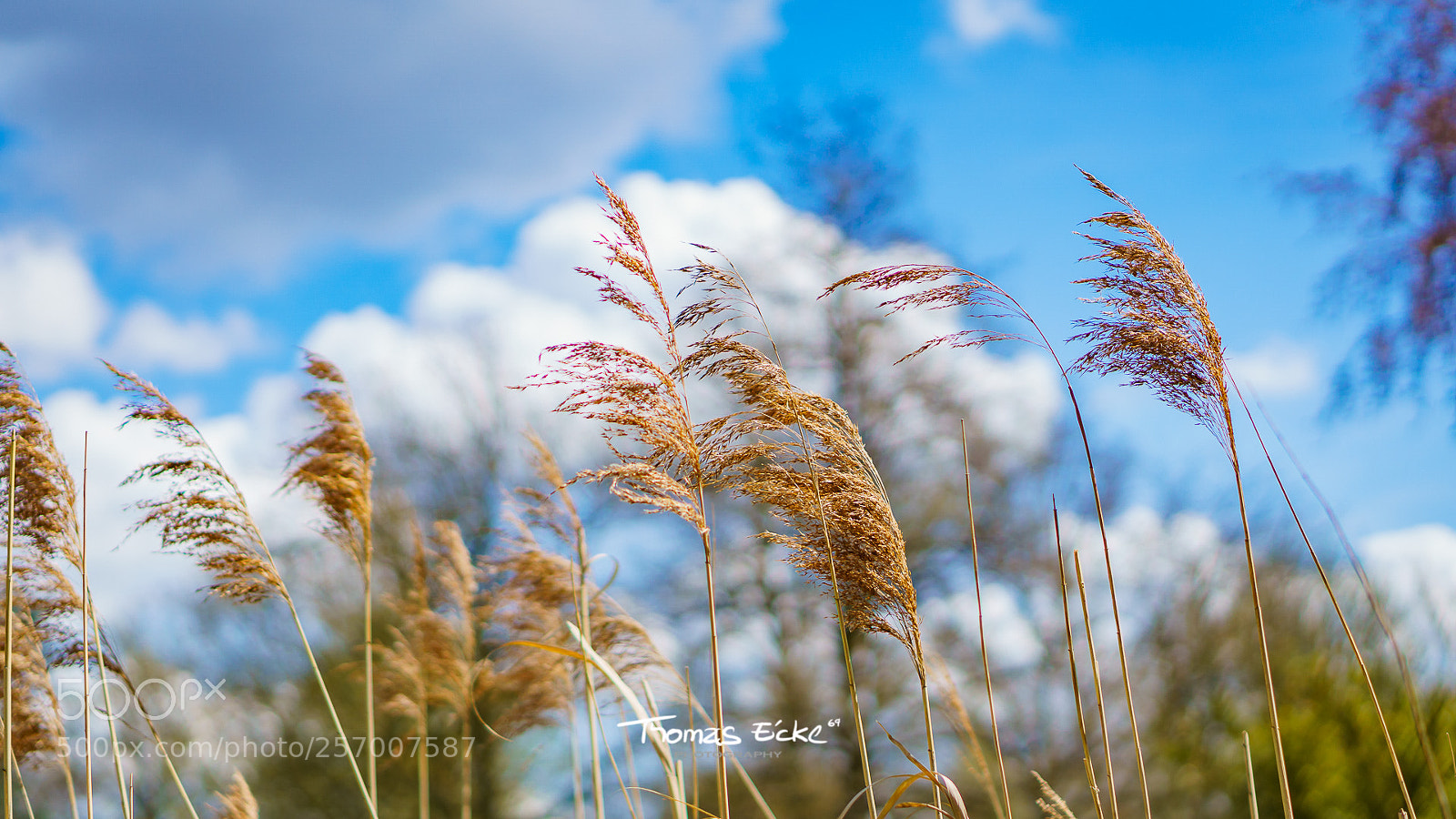 Sony a6000 sample photo. Dsc photography