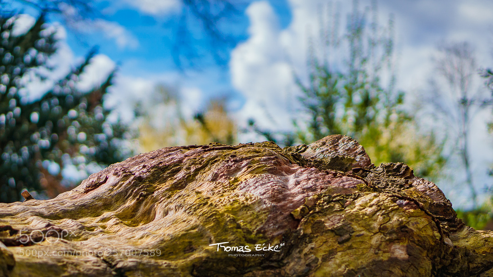 Sony a6000 sample photo. Dsc photography