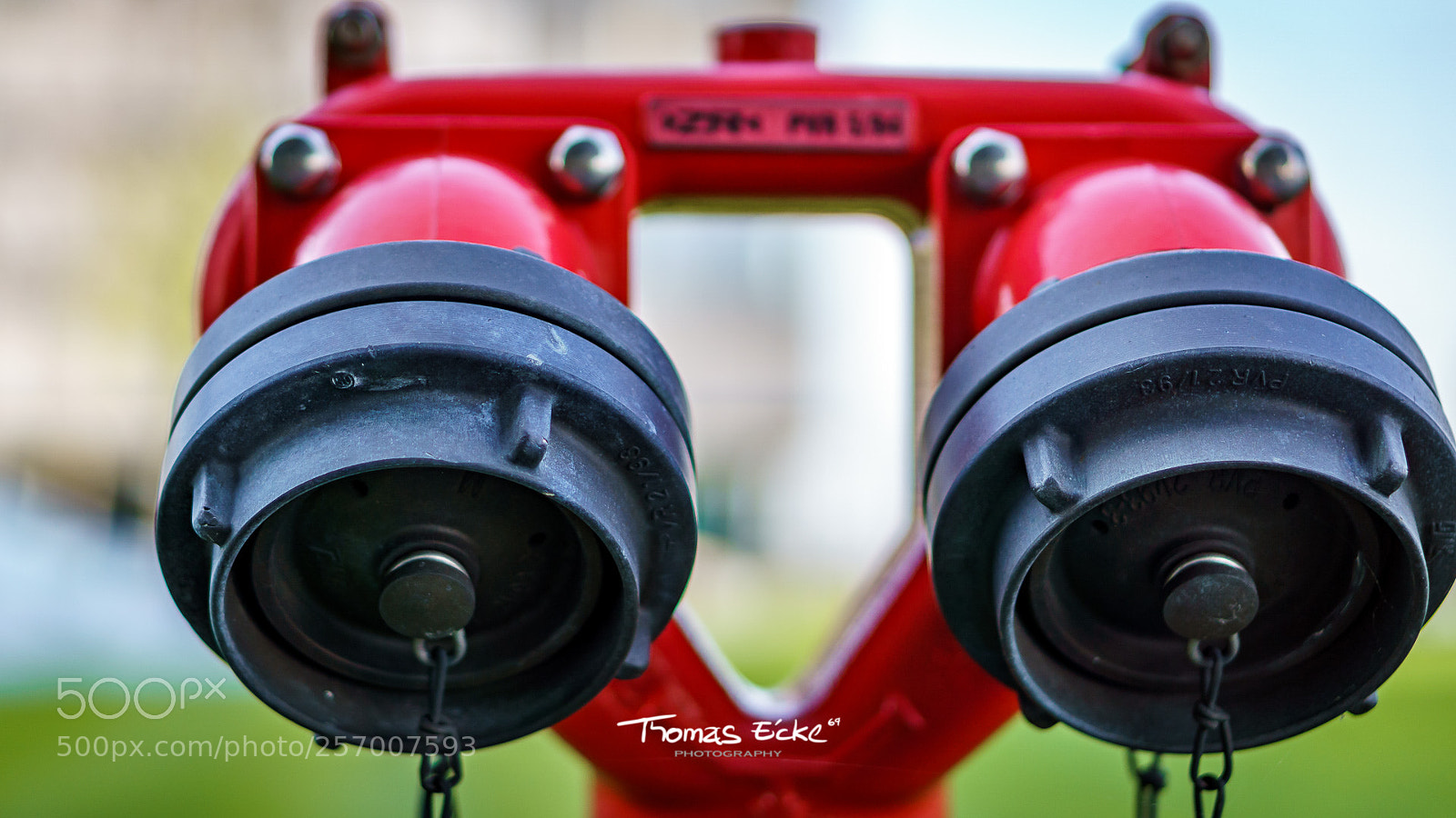 Sony a6000 sample photo. Dsc photography