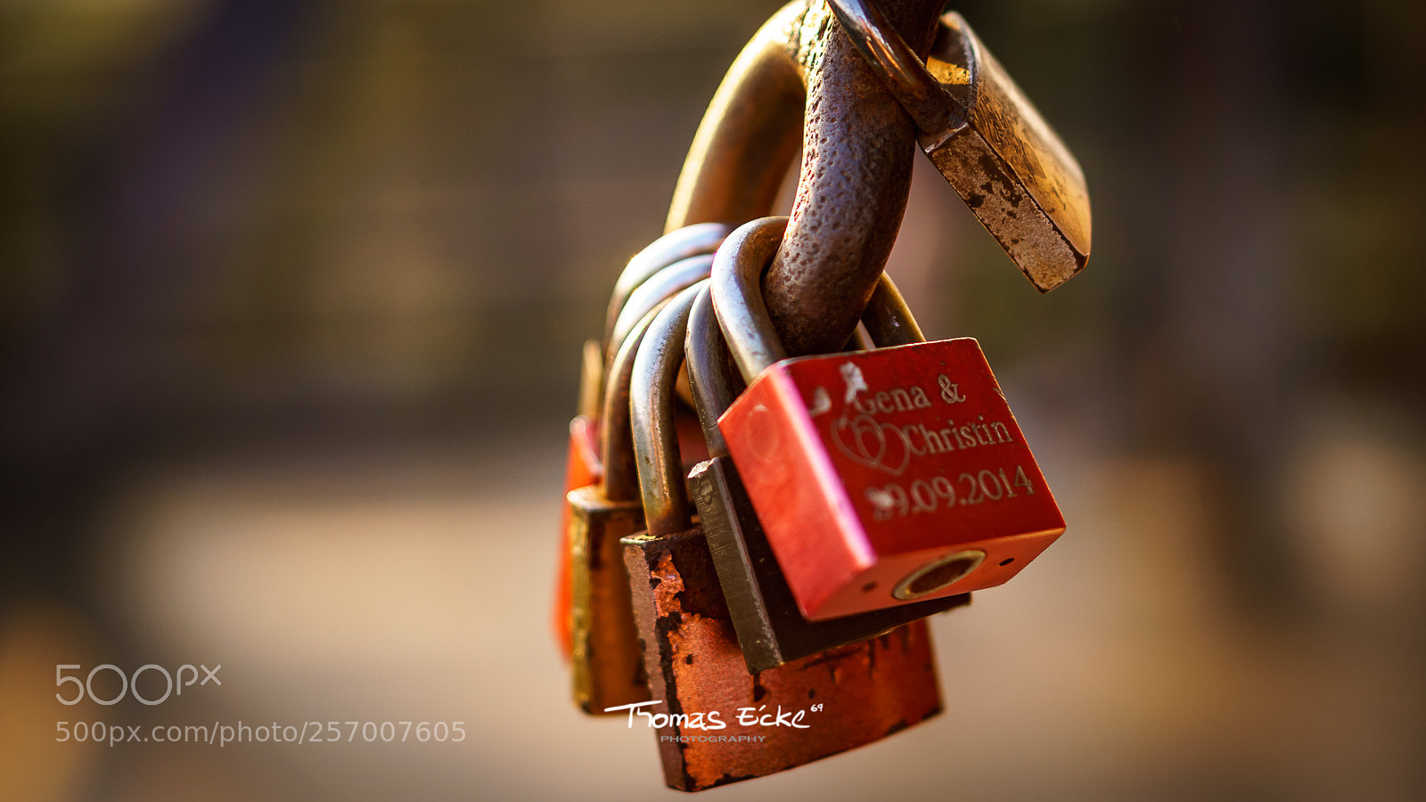 Sony a6000 sample photo. Dsc photography
