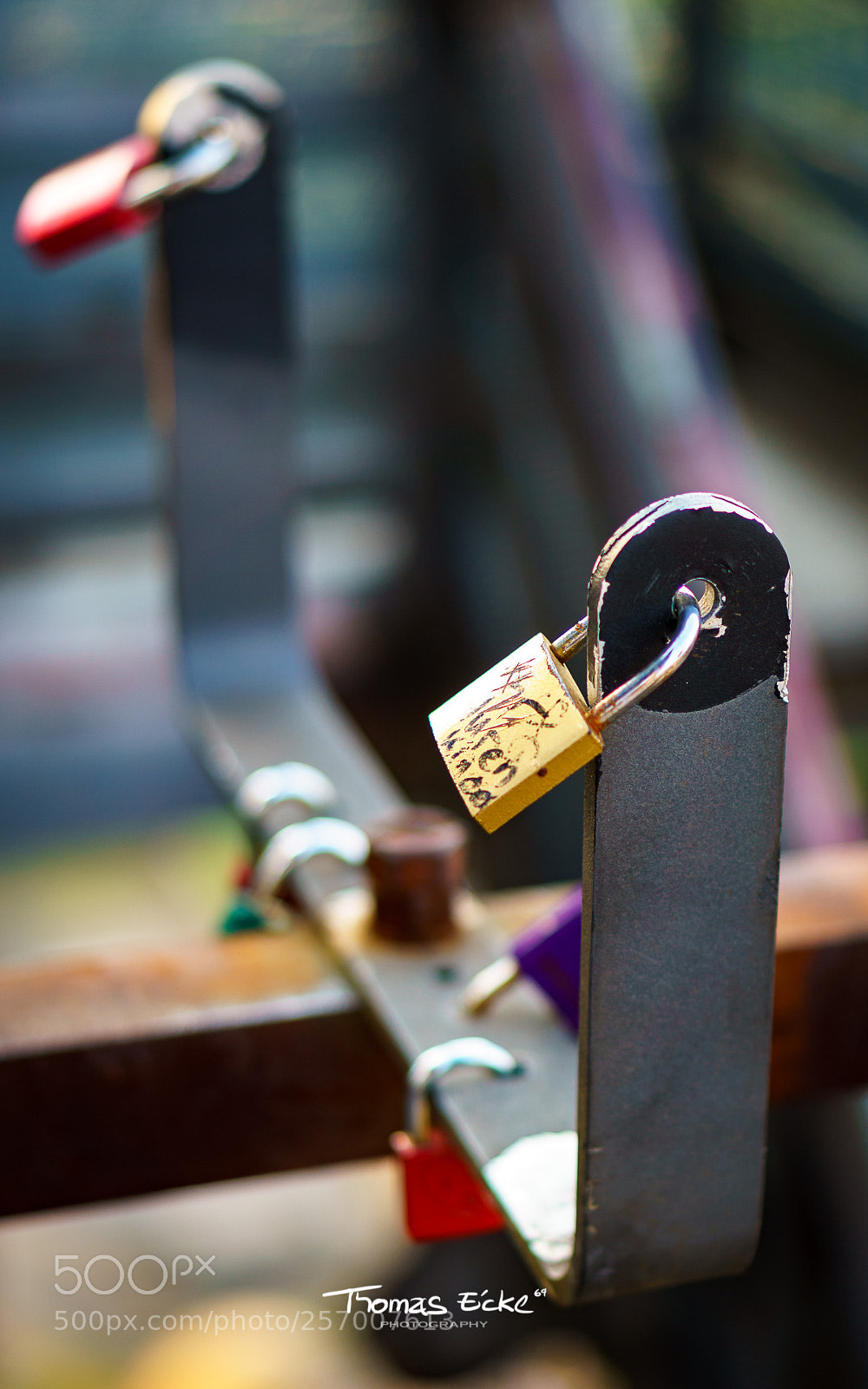Sony a6000 sample photo. Dsc photography