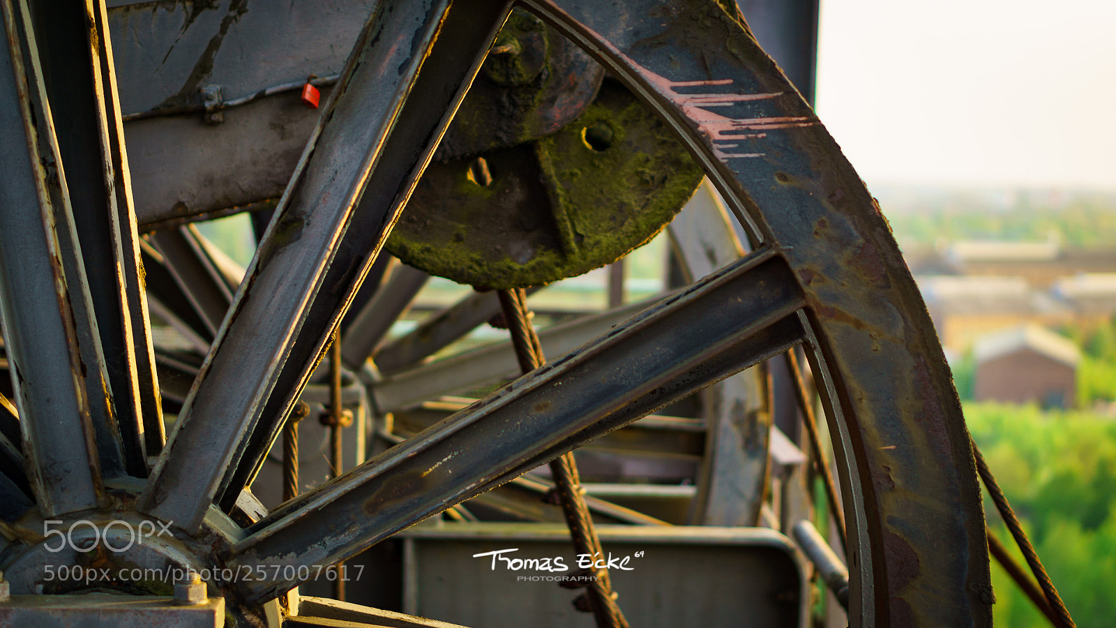 Sony a6000 sample photo. Dsc photography
