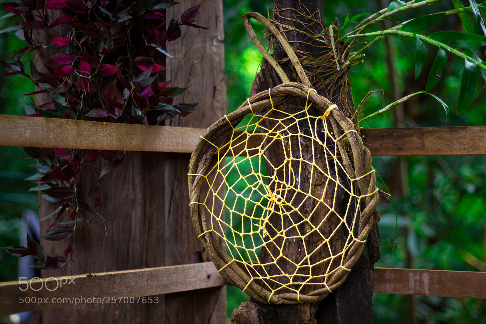 Canon EOS 700D (EOS Rebel T5i / EOS Kiss X7i) sample photo. Dream catcher... photography