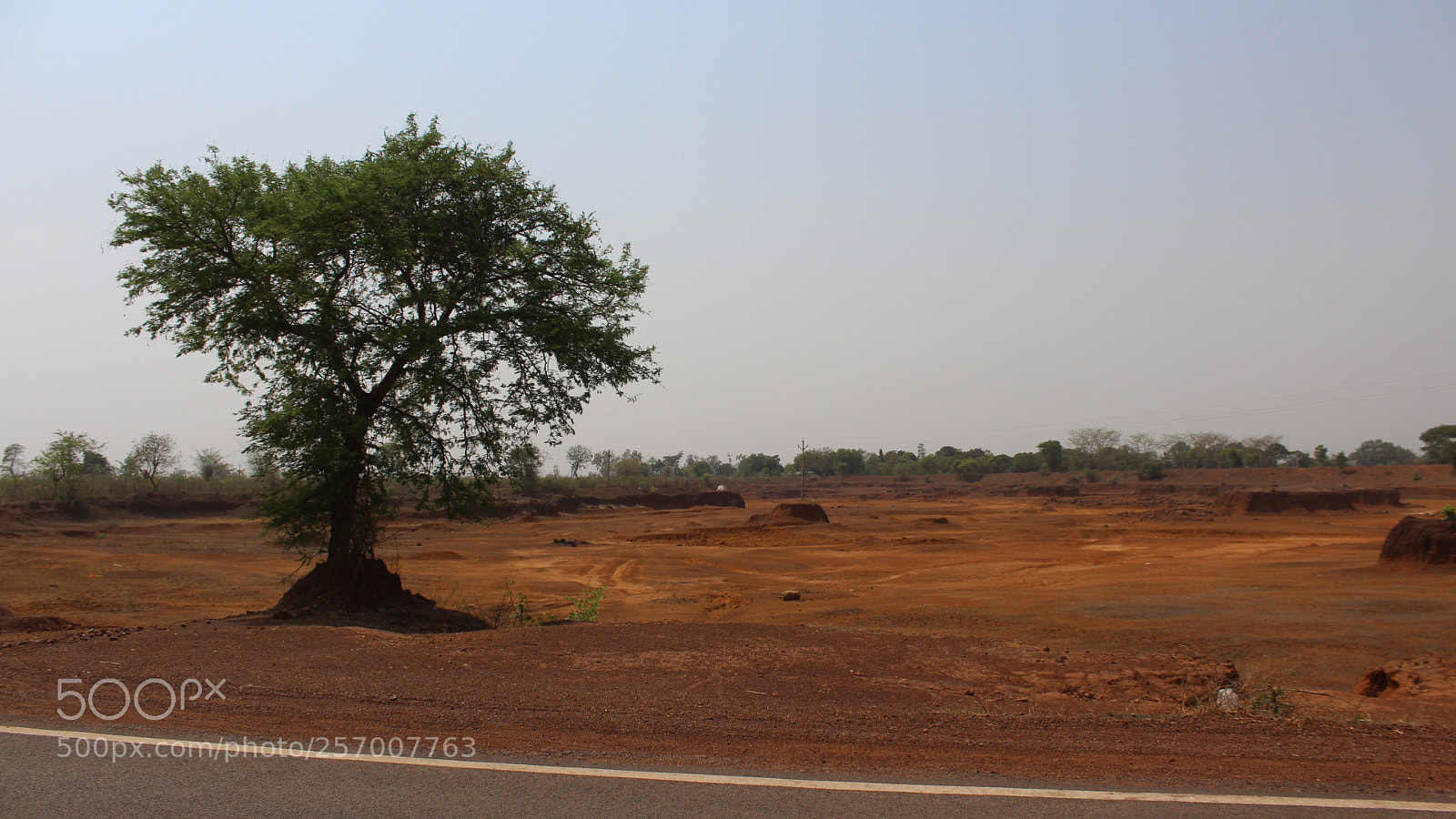 Canon EOS 700D (EOS Rebel T5i / EOS Kiss X7i) sample photo. Ms photography photography