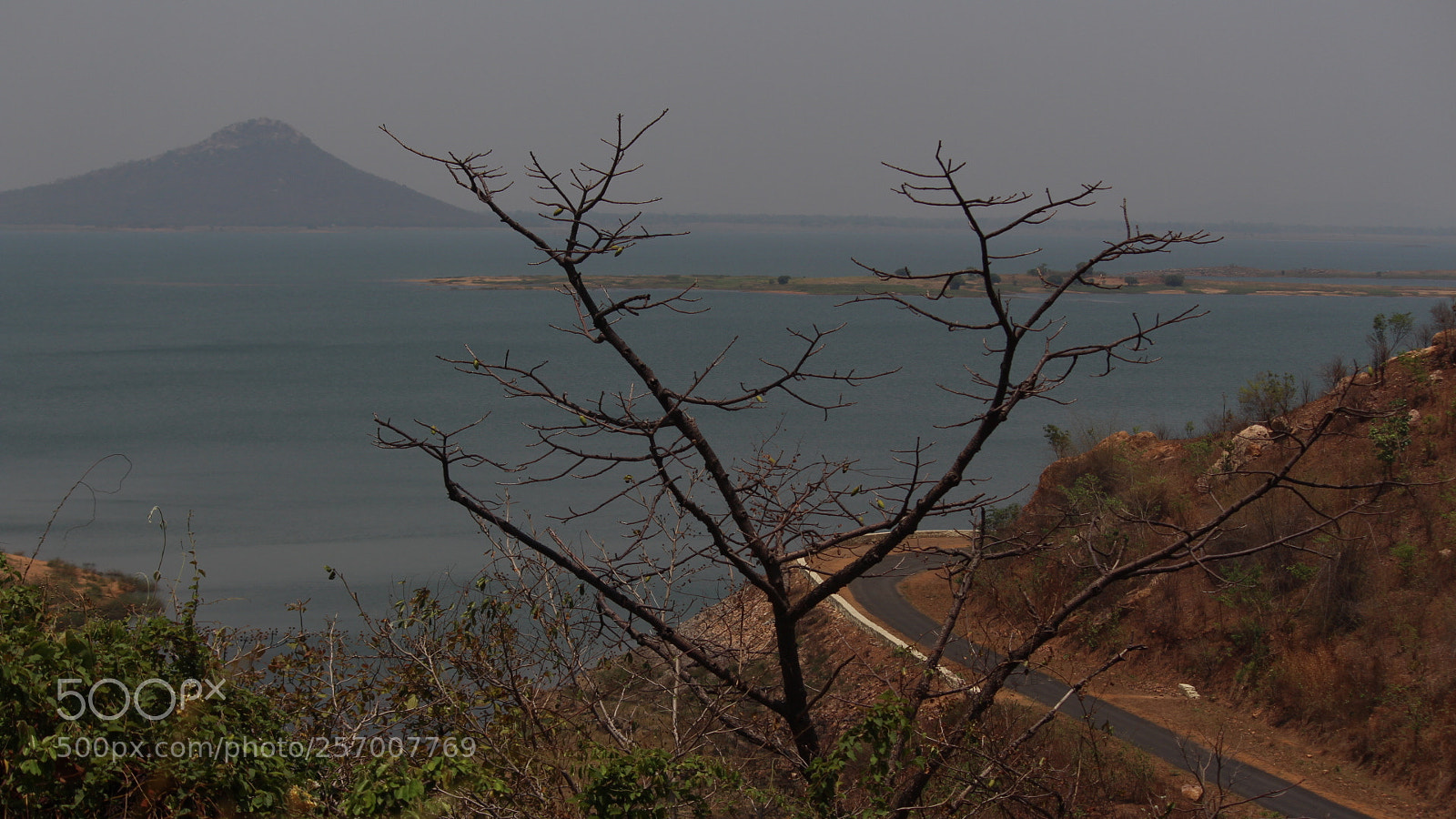 Canon EF-S 55-250mm F4-5.6 IS II sample photo. Ms photography photography