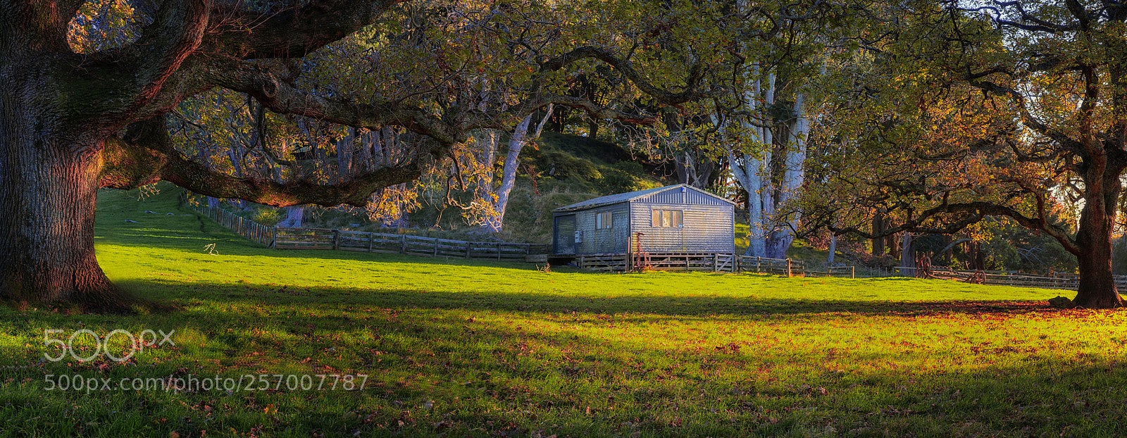 Nikon D800 sample photo. Autumn morning photography