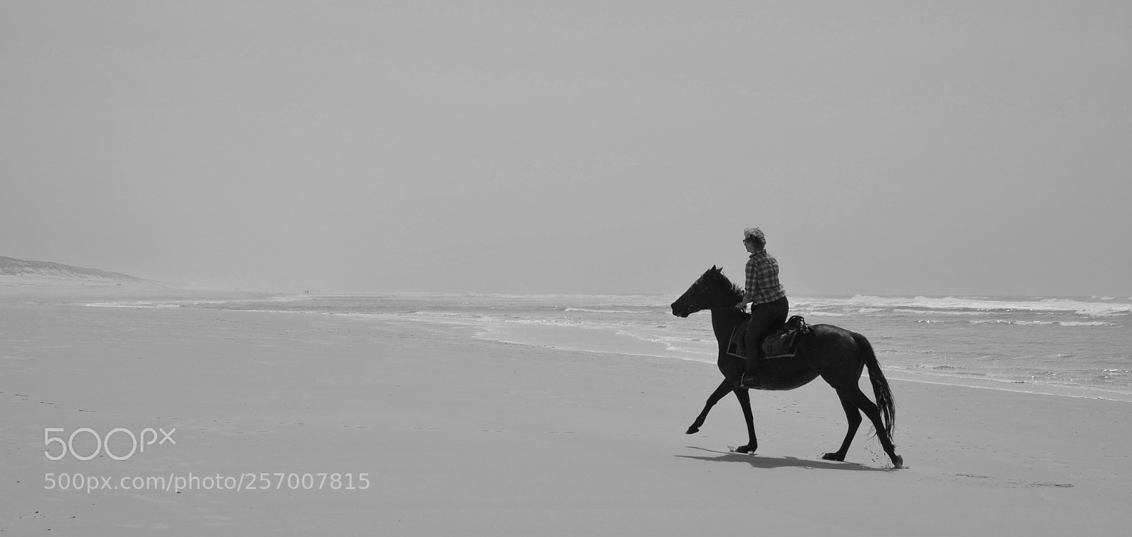 Nikon D7000 sample photo. () photography