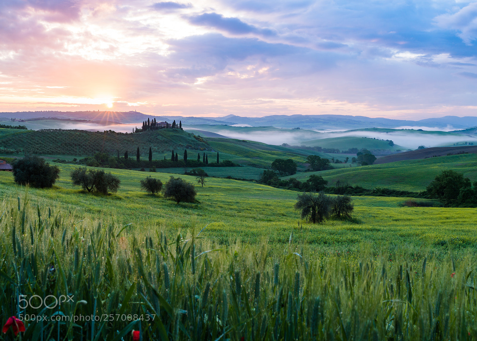 Canon EOS 70D sample photo. Just after sunrise in photography