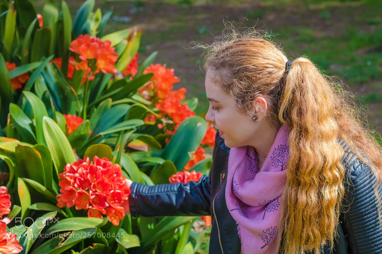 Canon EOS 750D (EOS Rebel T6i / EOS Kiss X8i) sample photo. Beauty in nature photography