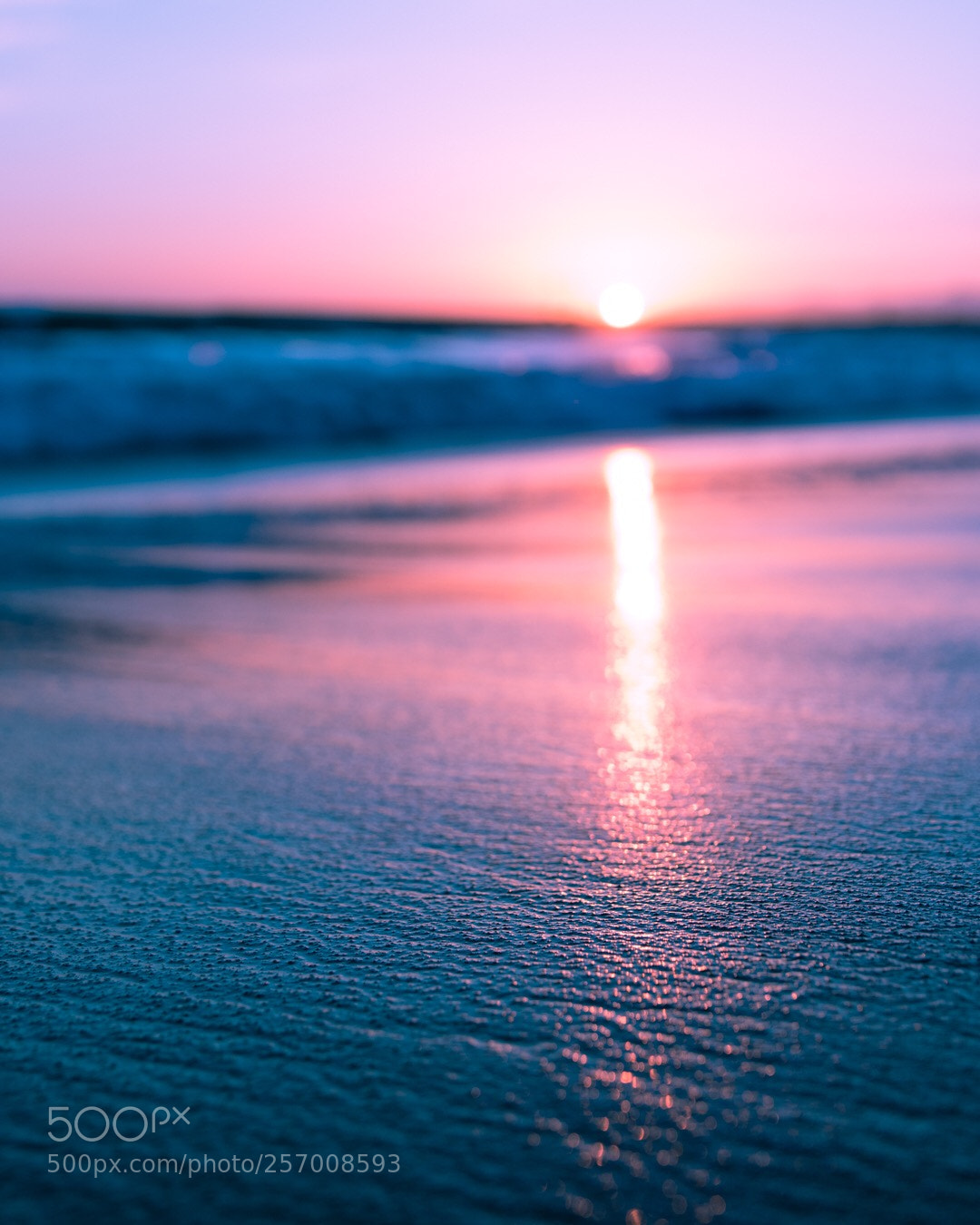 Canon EOS 80D sample photo. Venice beach sunset photography