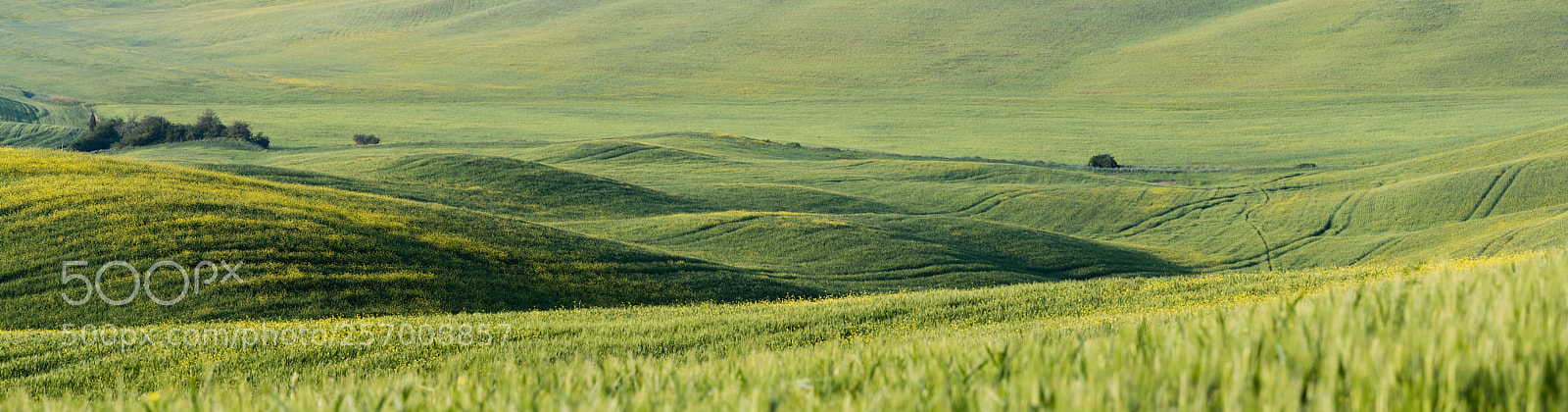 Canon EOS 70D sample photo. Tuscan grass hills photography