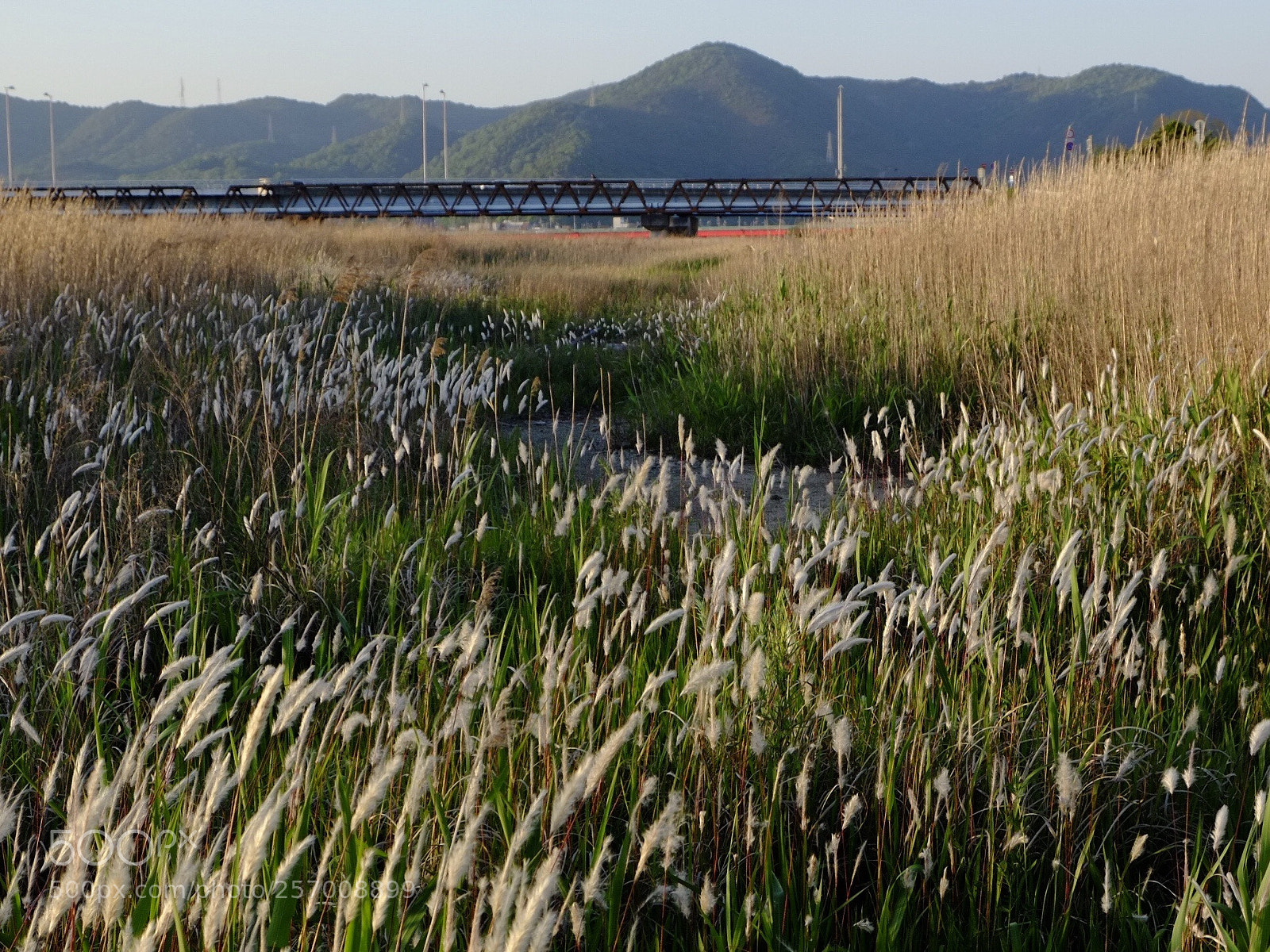 Fujifilm X-Pro1 sample photo. At the end of photography