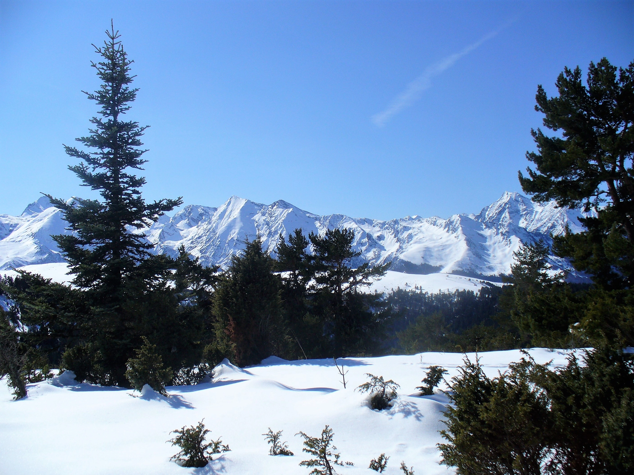 Panasonic DMC-LZ5 sample photo. Paysage pyrénéen (france) photography