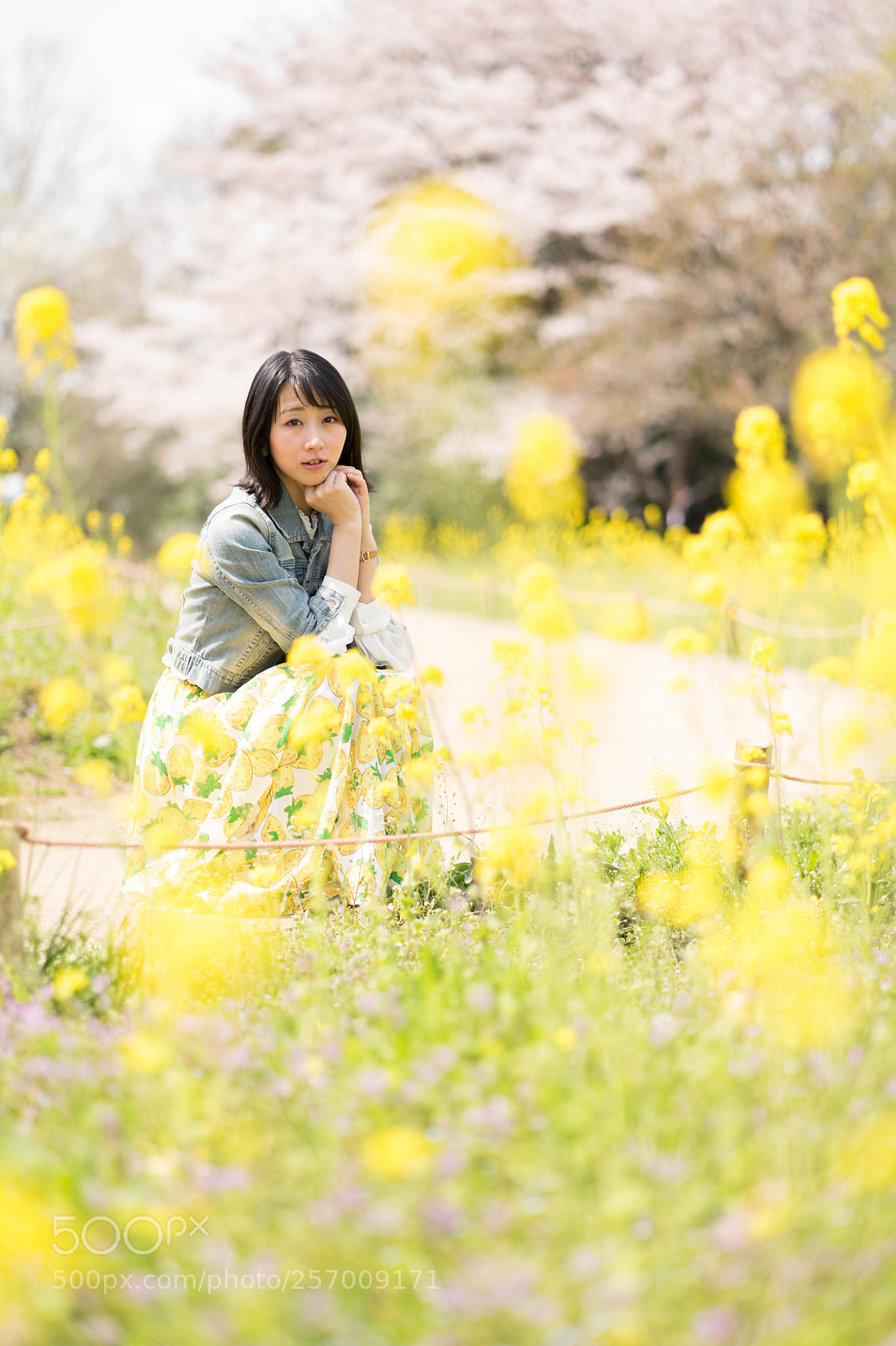 Sony a7 II sample photo. Dsc photography