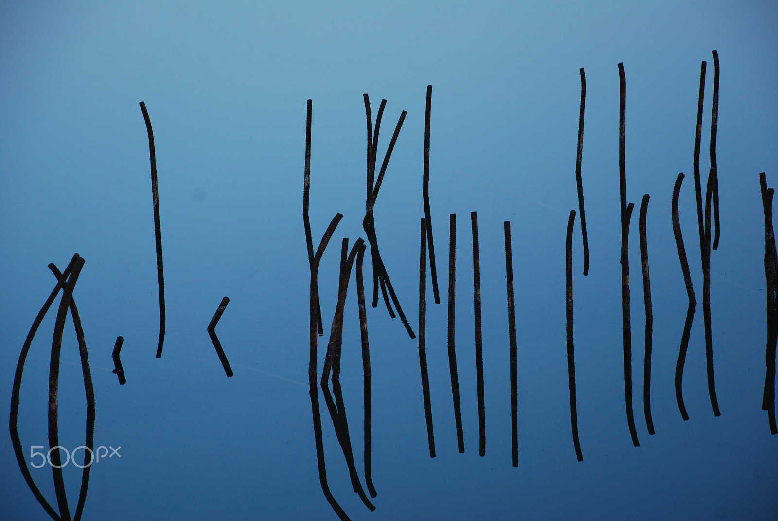Nikon D80 sample photo. Abstract photography