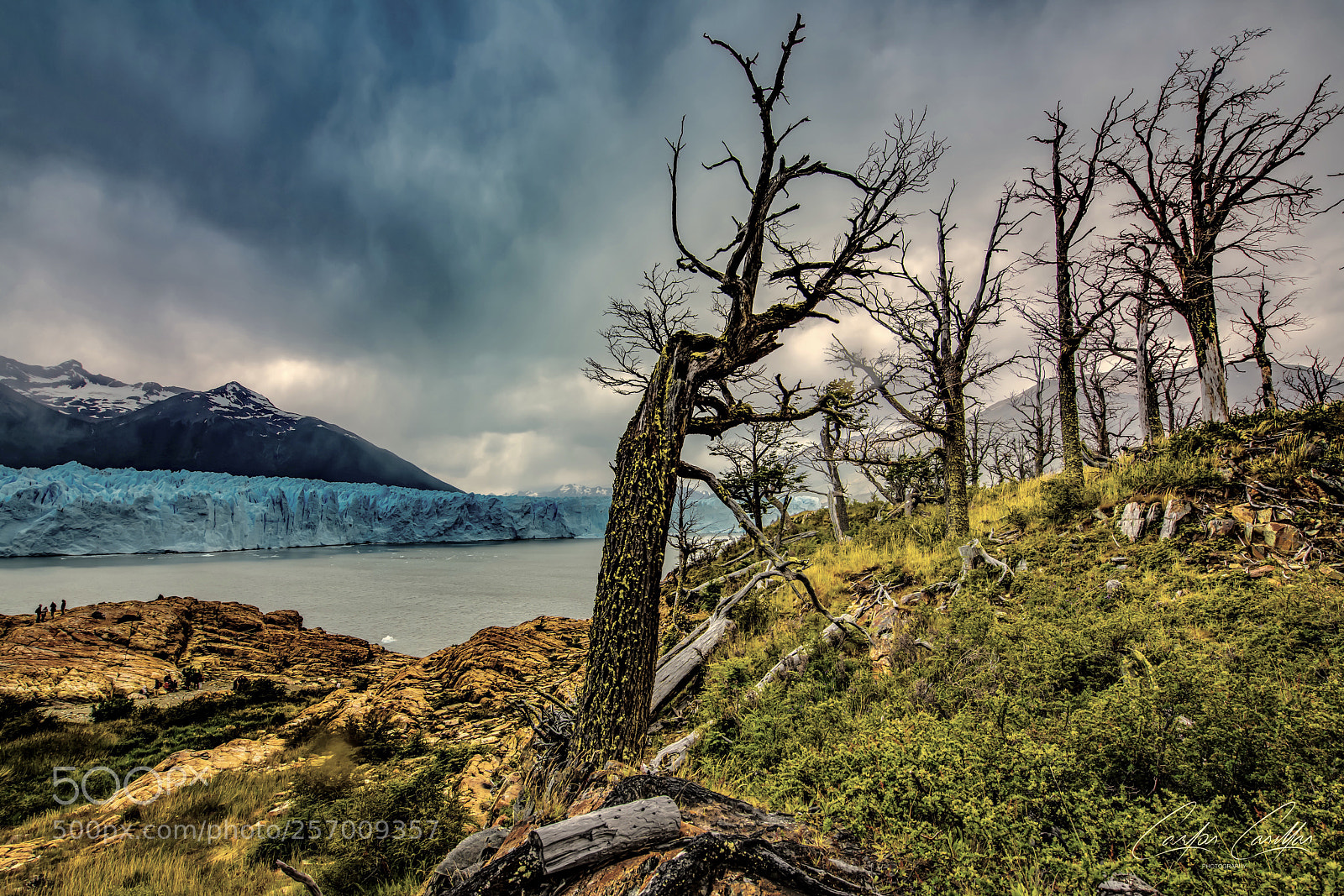 Nikon D850 sample photo. Perito moreno glacier photography