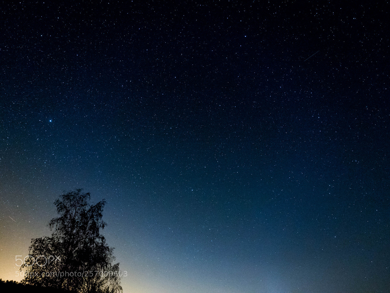Olympus OM-D E-M5 II sample photo. Night sky photography