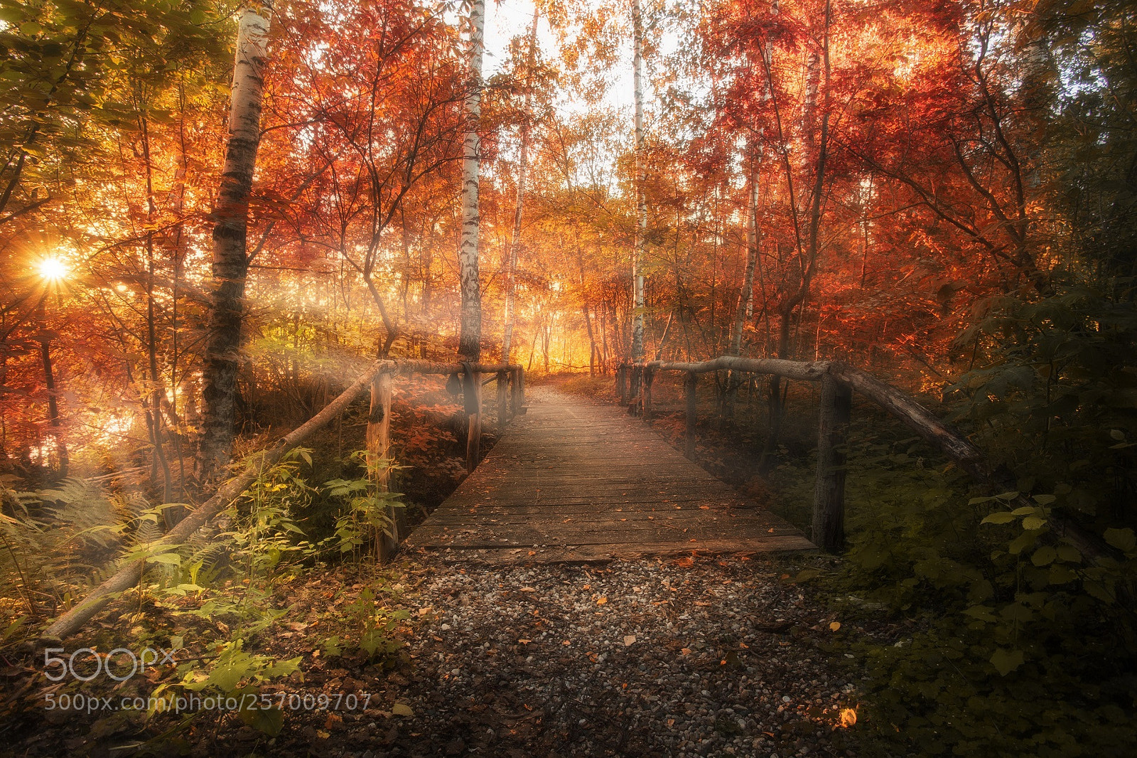 Canon EOS 6D sample photo. Autumn photography