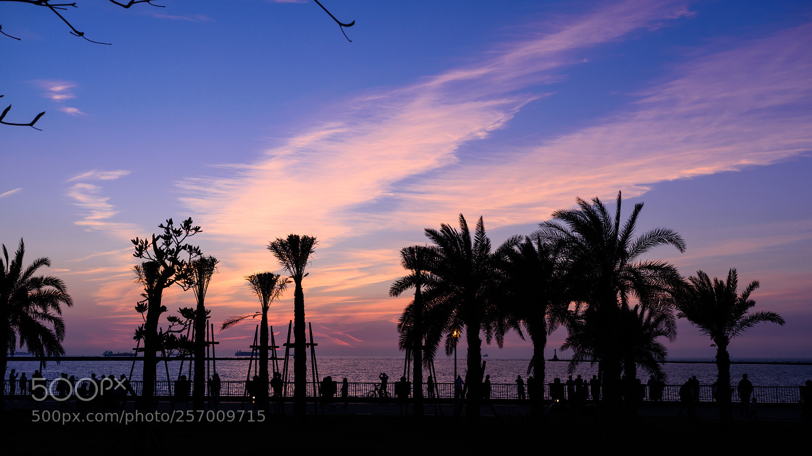 Nikon D750 sample photo. Kaohsiung photography