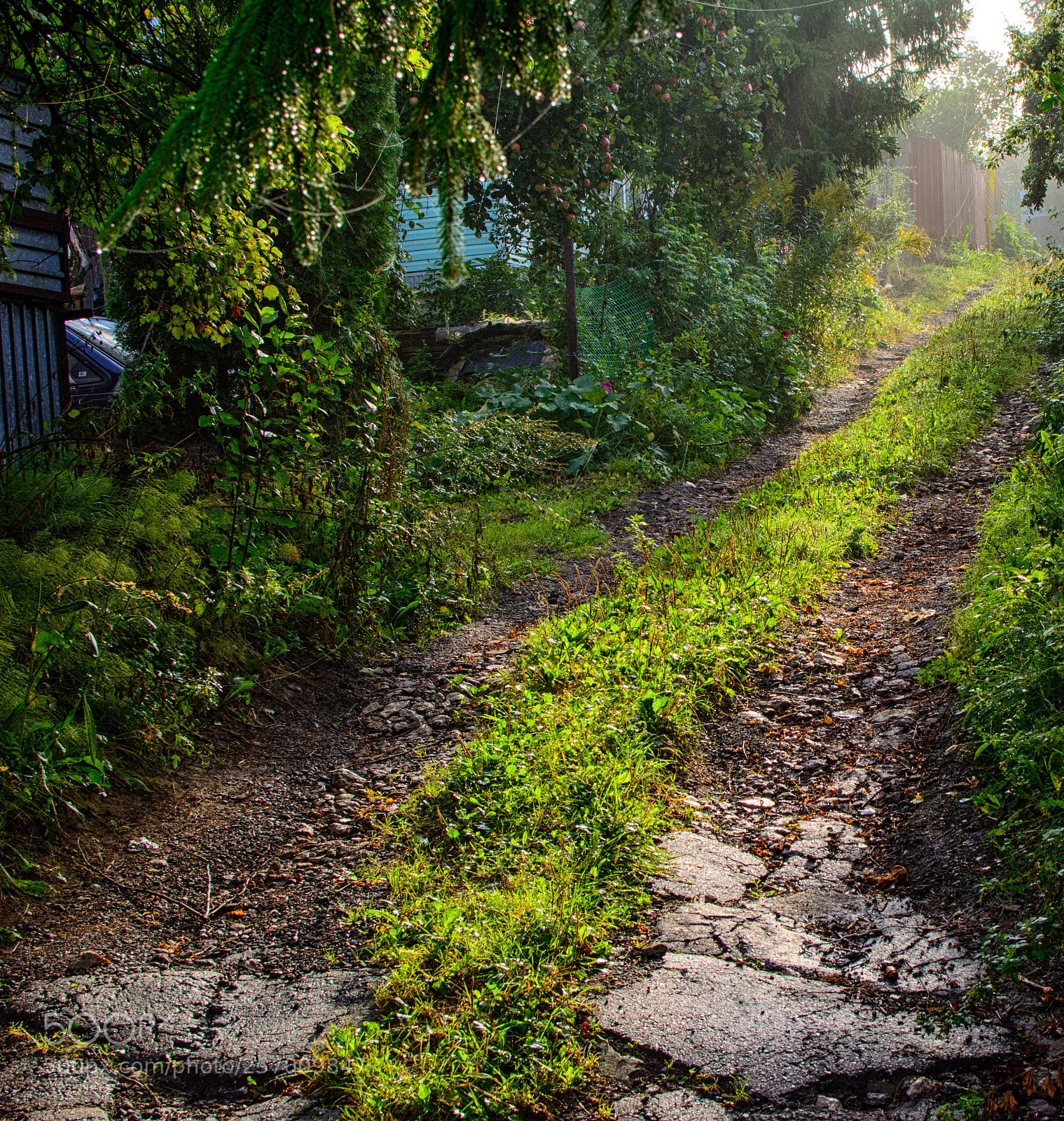 Nikon D5200 sample photo. September morning photography