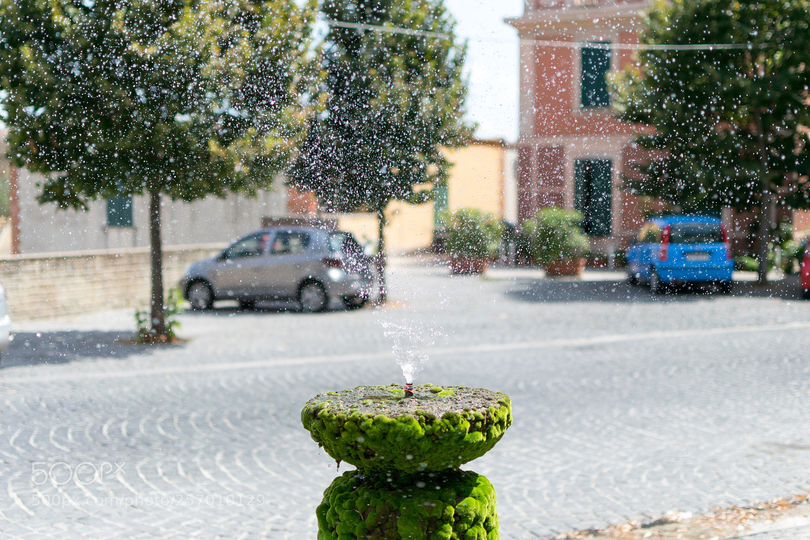 Nikon D3300 sample photo. Water drops  photography