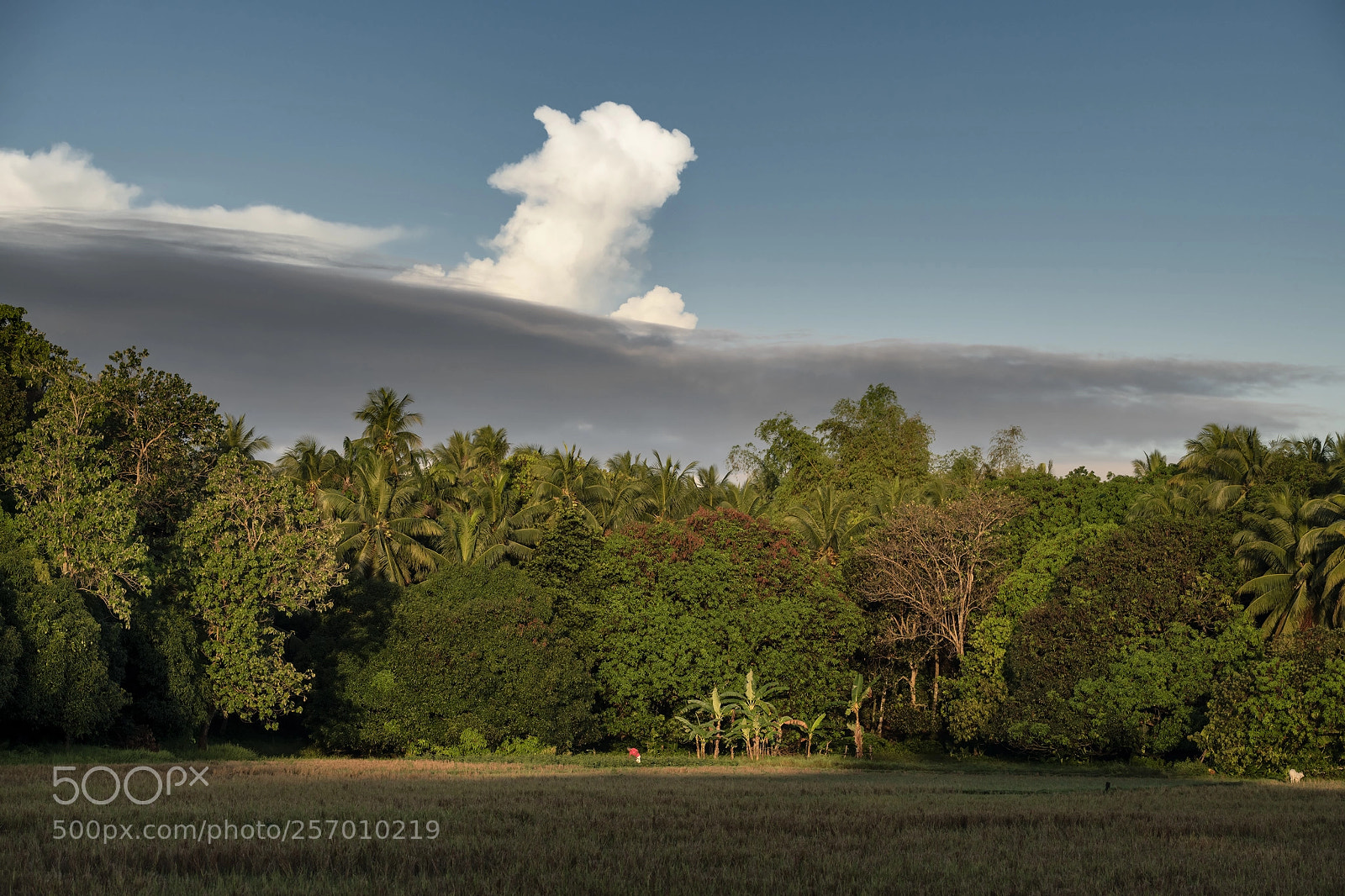 Nikon D850 sample photo. Philippine morning photography